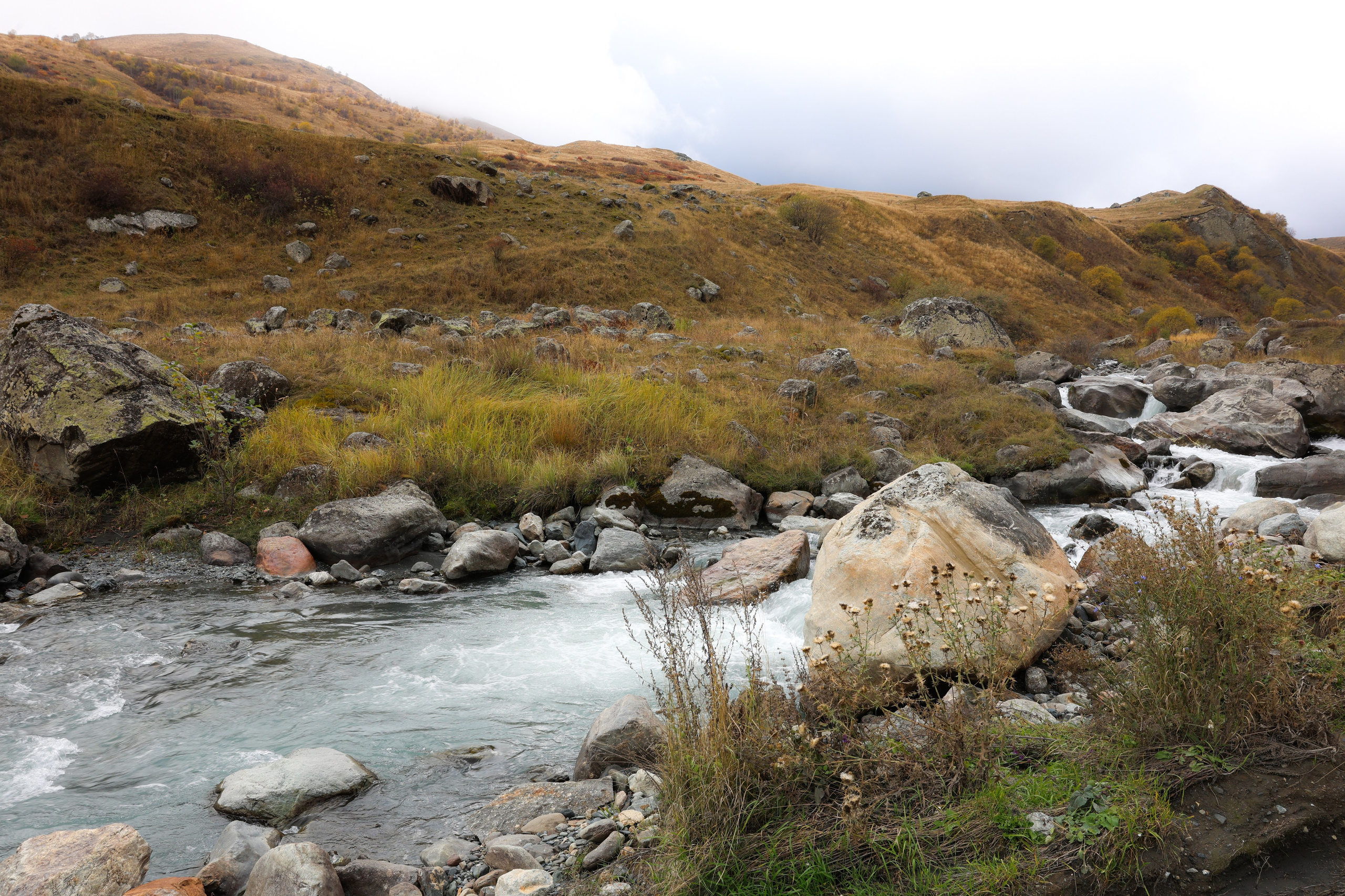 Фотограф Мария Алексеева. Мария Алексеева. Фотограф в Москве