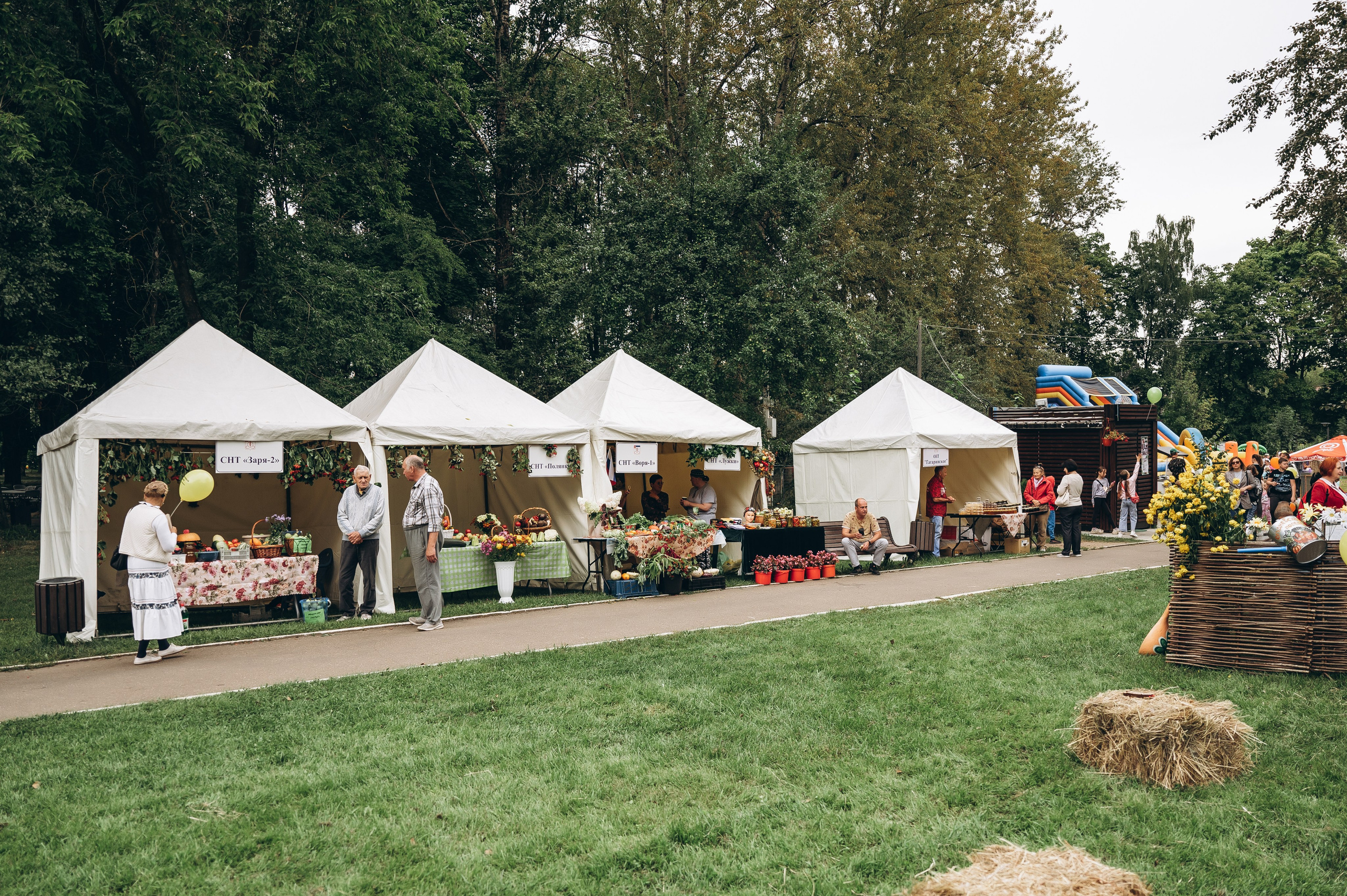 День города 2023. Фотограф Илья Солдаткин