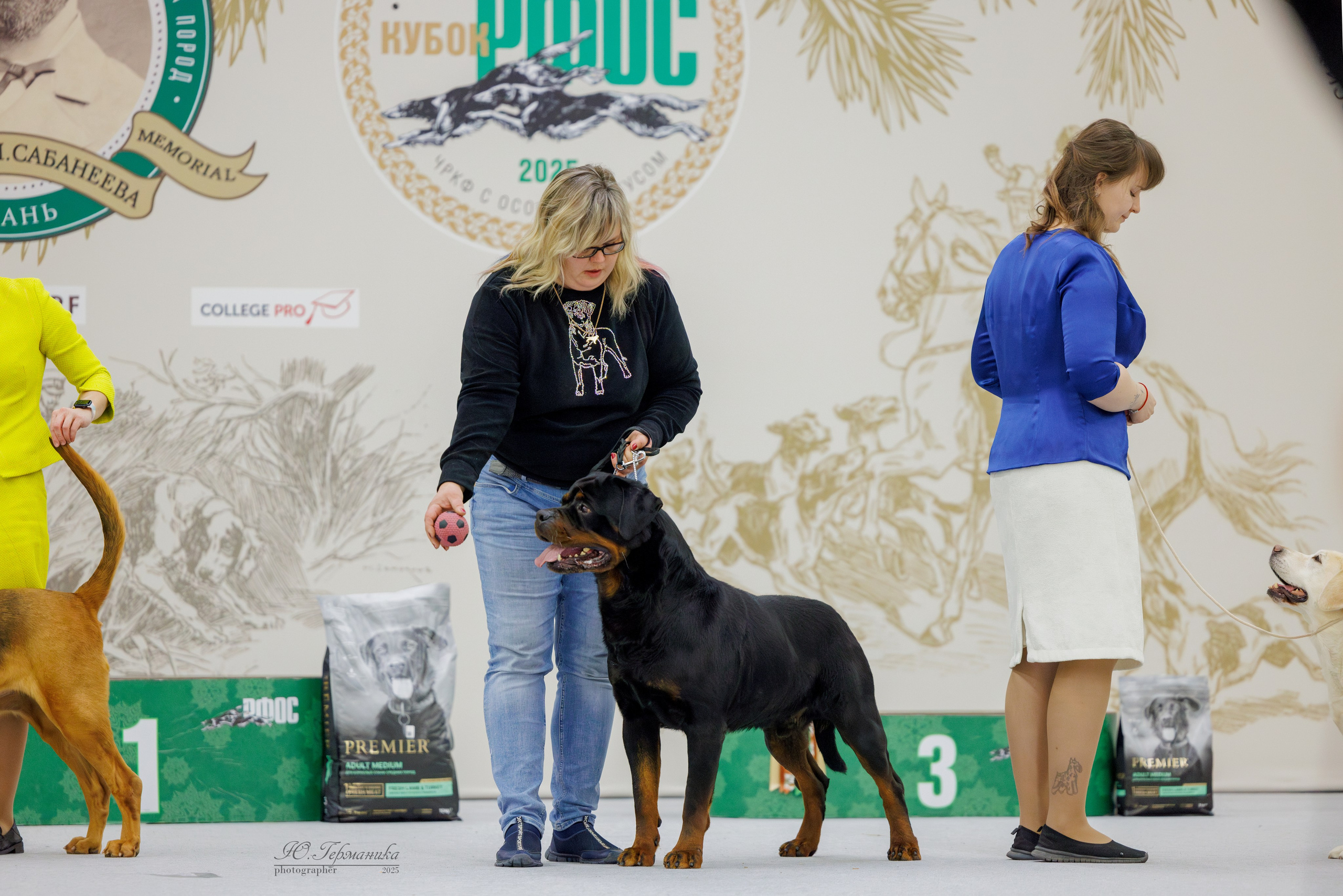 Сабанеевка Казань 25-26.01.2025. Фотограф-анималист Юлия Германика