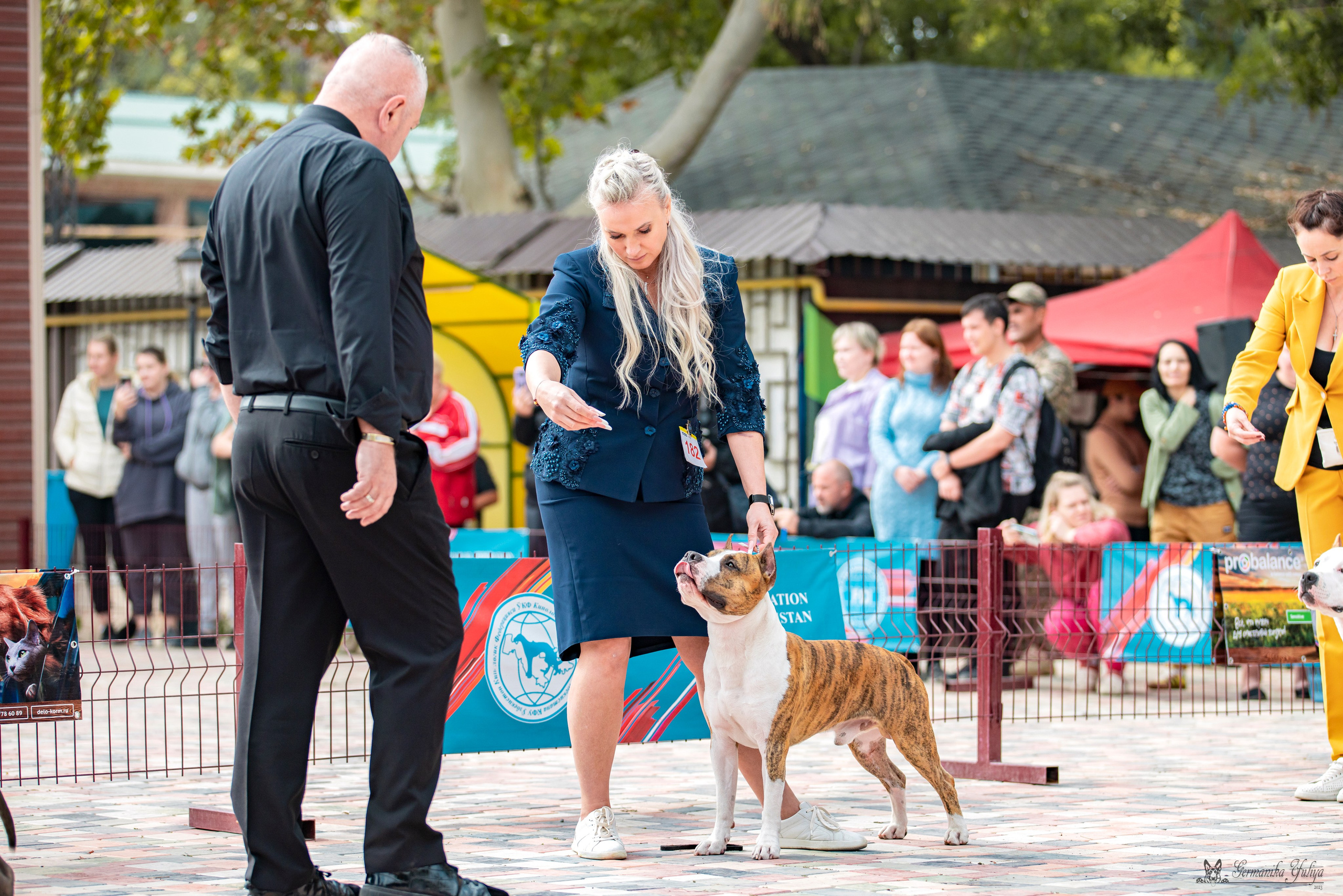 Ташкент 6-8.10.2023 + Алматы 14-15.10.2023. Фотограф-анималист Юлия Германика