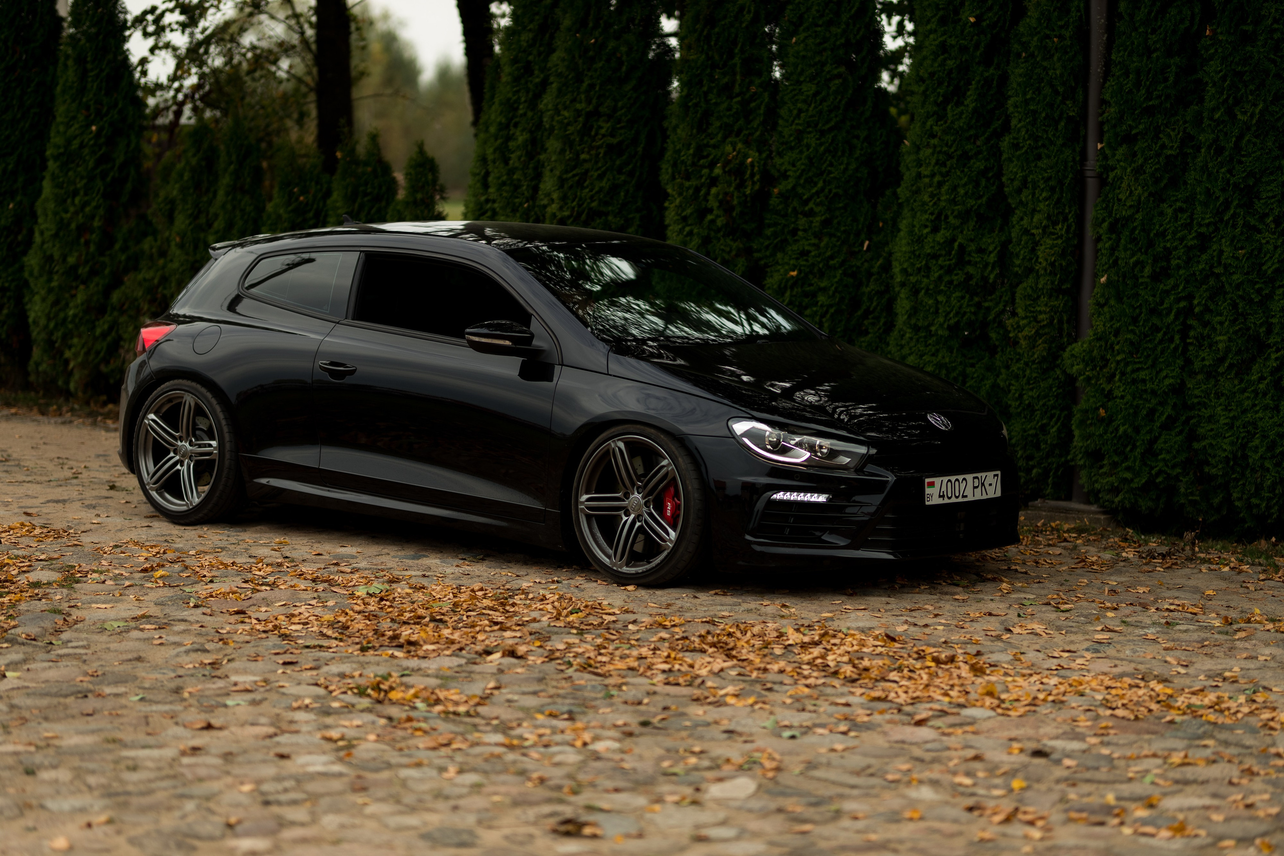 Д&Е. Свадебный фотограф Гомель