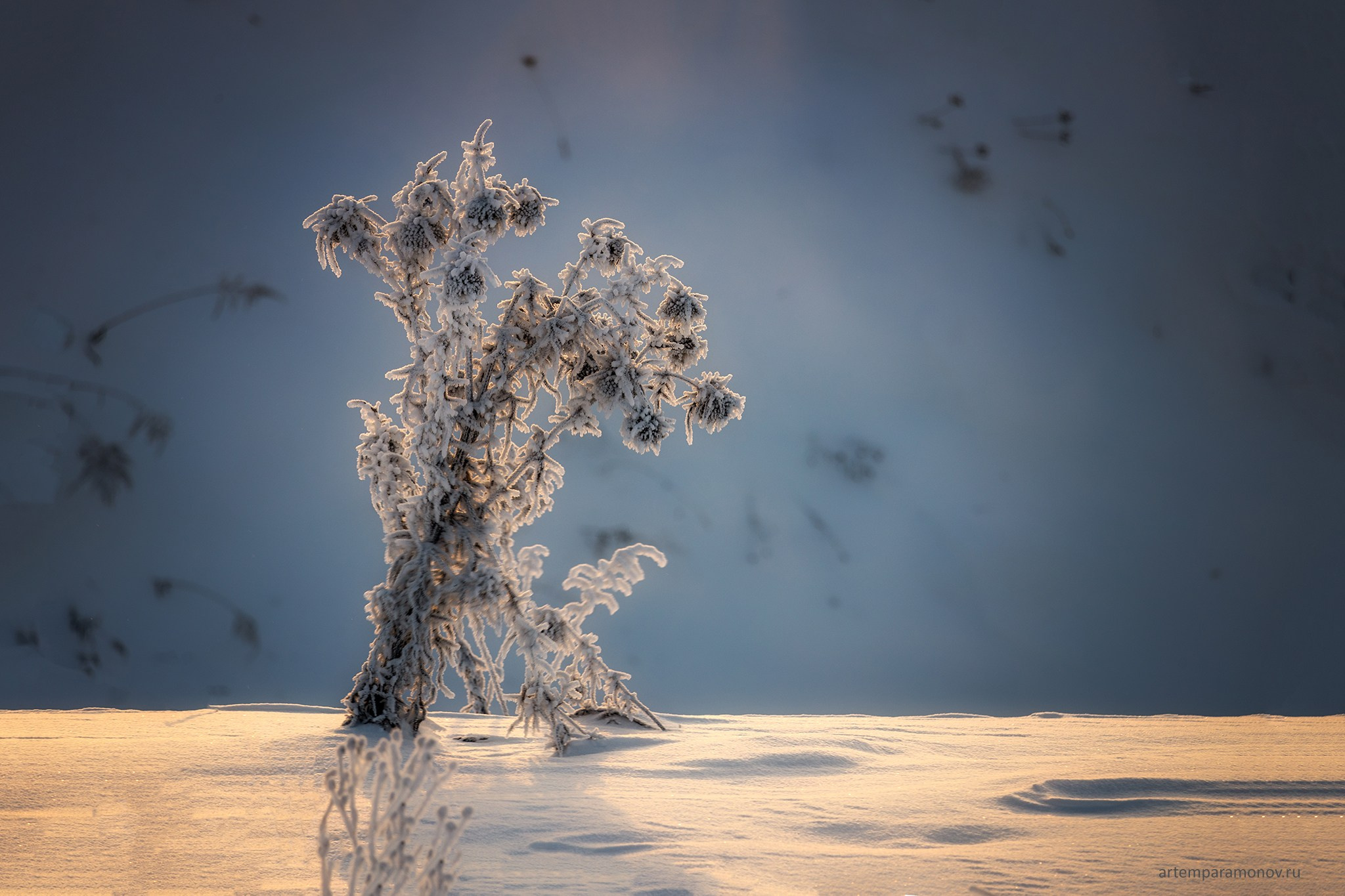 Русская зима в деревне. Фотохудожник Артём Парамонов