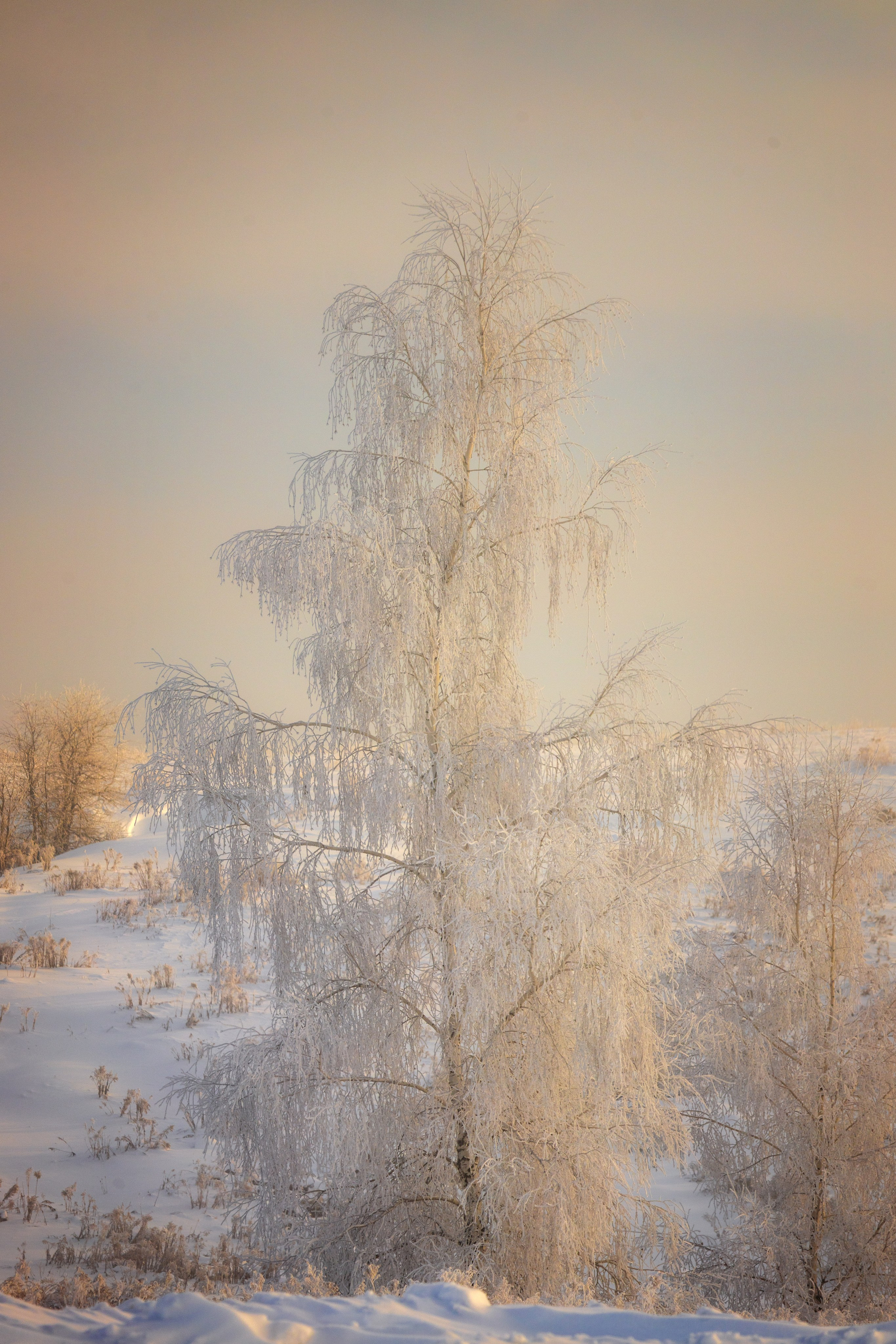 Щекинский район. Фотограф Артём Парамонов