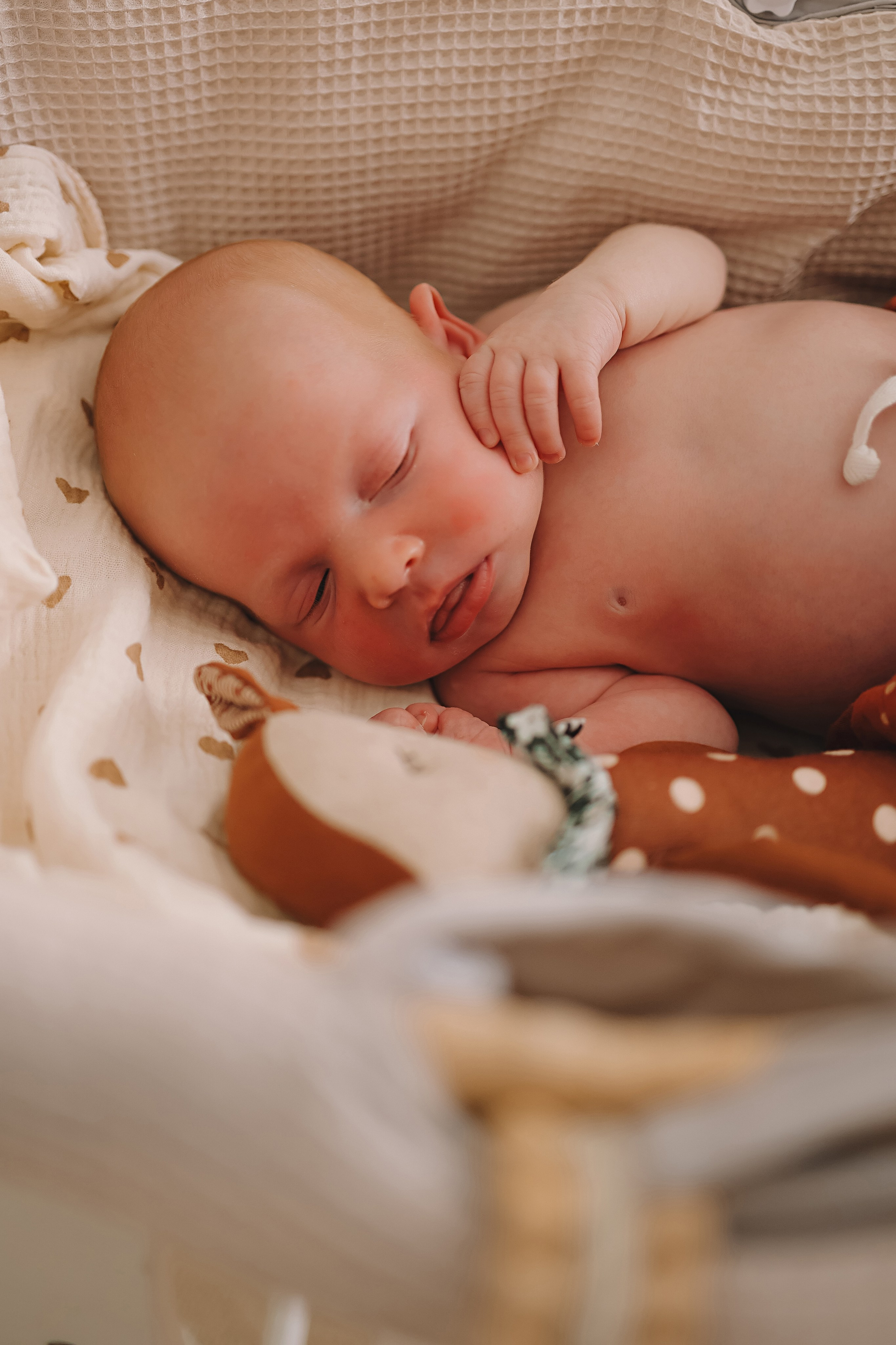 Ефим, 2 недели. Семейный фотограф Тюмень, фотограф на роды Салмина Мария