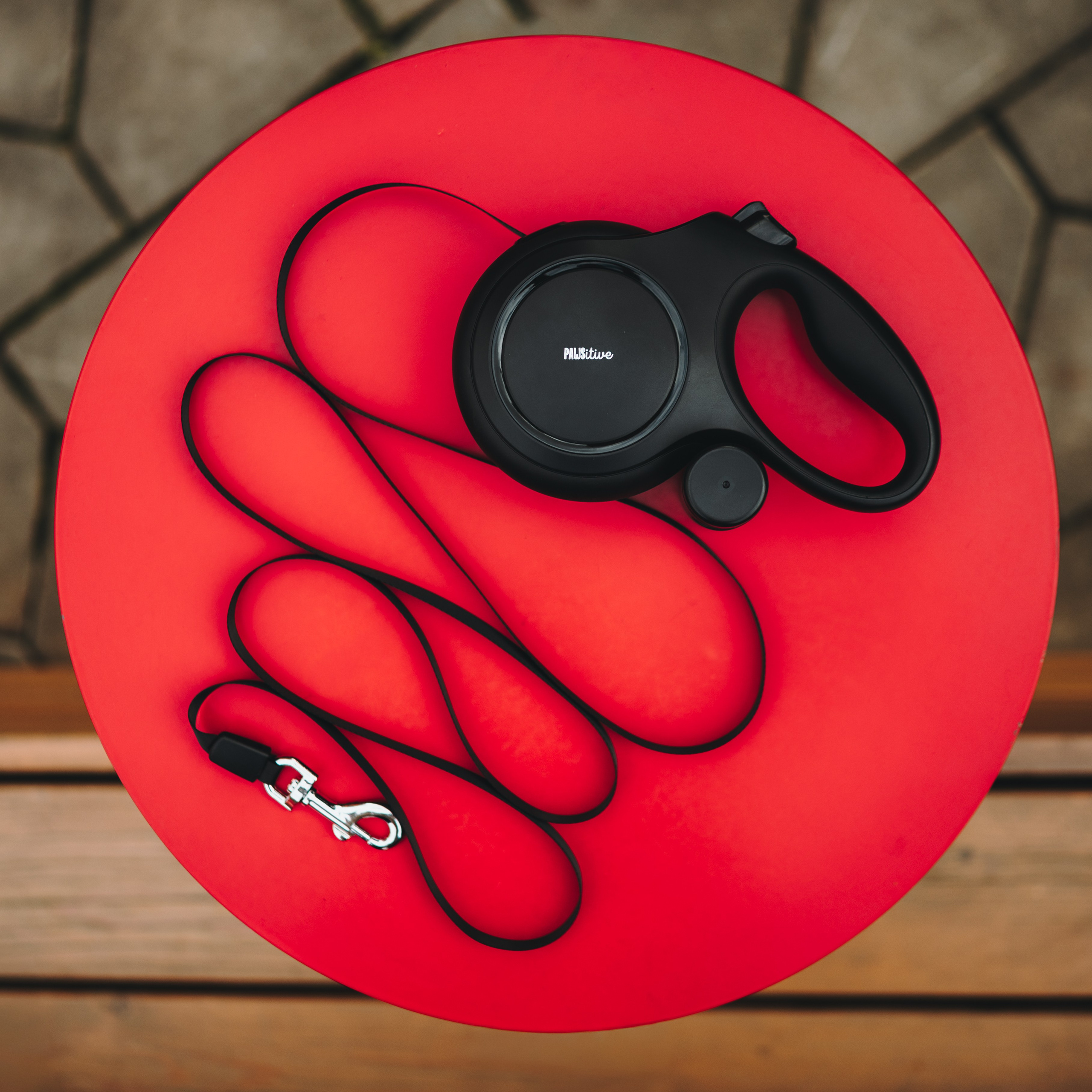 Pawsitive. Семейный фотограф анималист Ананьева Мария — Москва