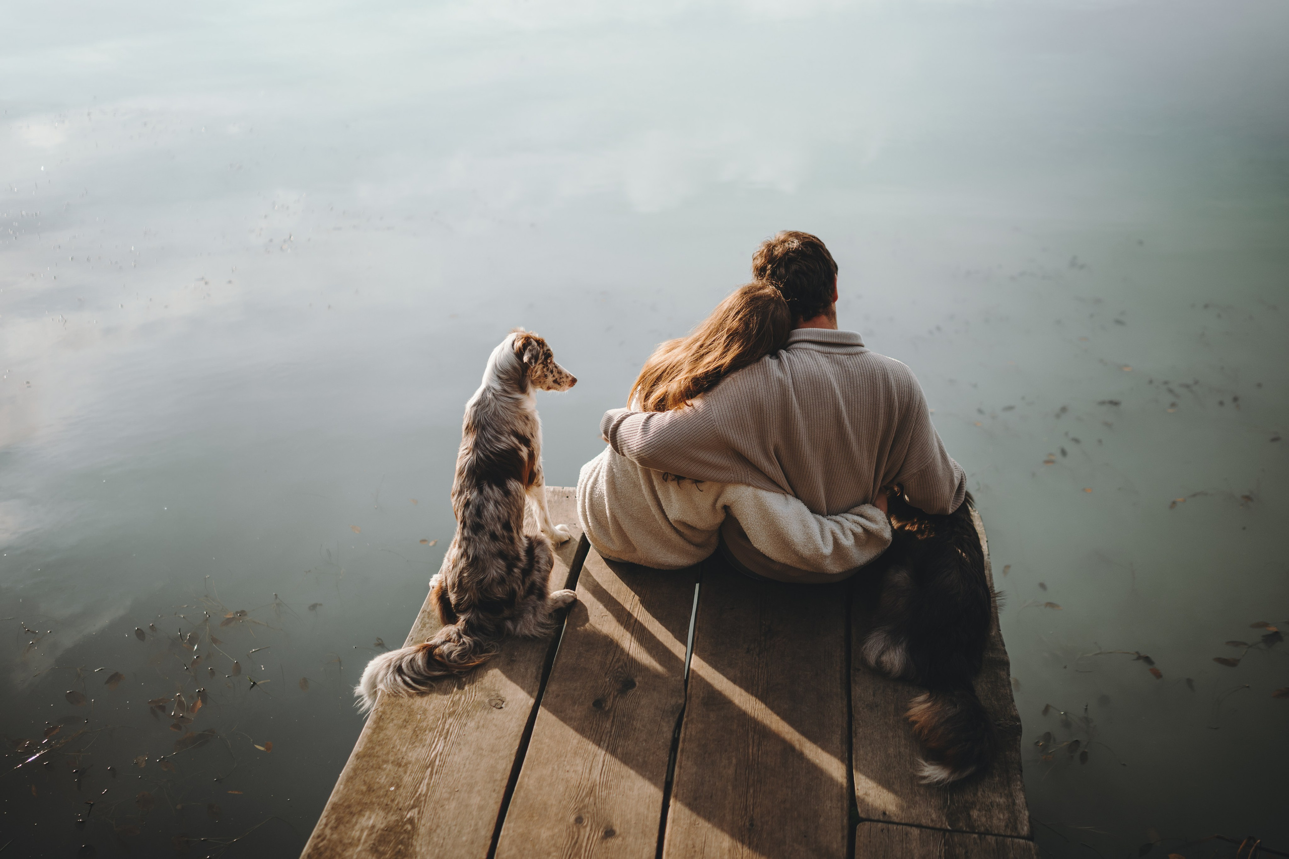 Настя, Максим, Орео и Норд. Семейный фотограф анималист Ананьева Мария — Москва