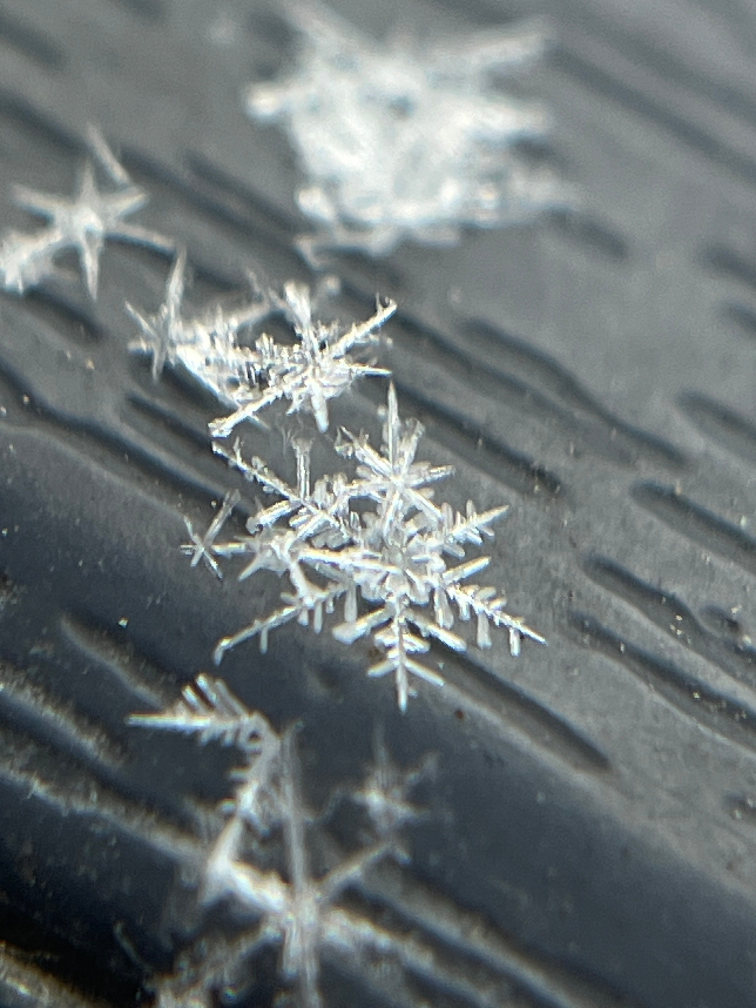 Визуальный дневник. Портретный фотограф в Москве Гахраманова Екатерина