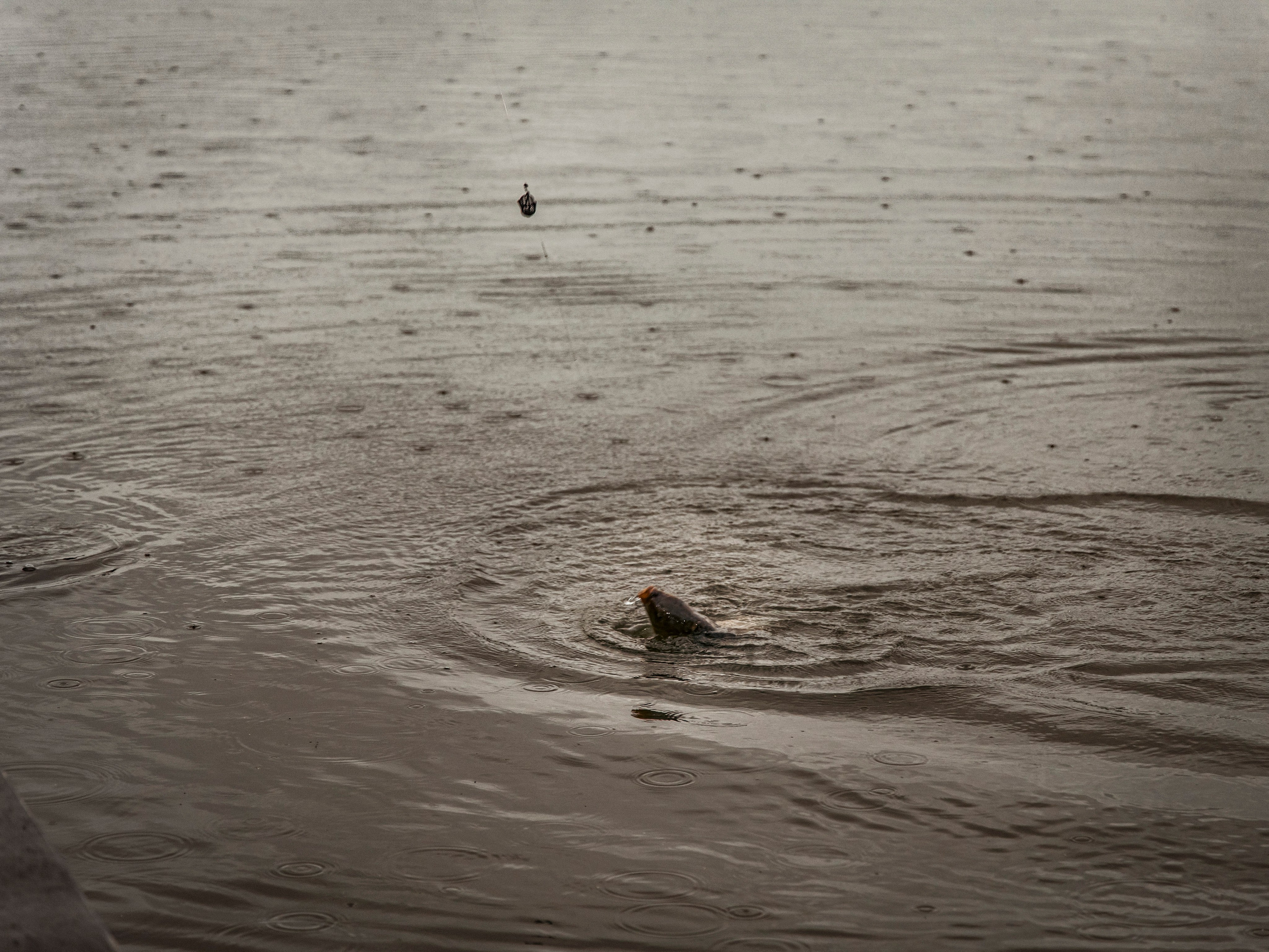 Тихая заводь. Чеховский район. Фотограф для маркетплейсов, фотоуслуги в Жуковском Татьяна Марсуверских