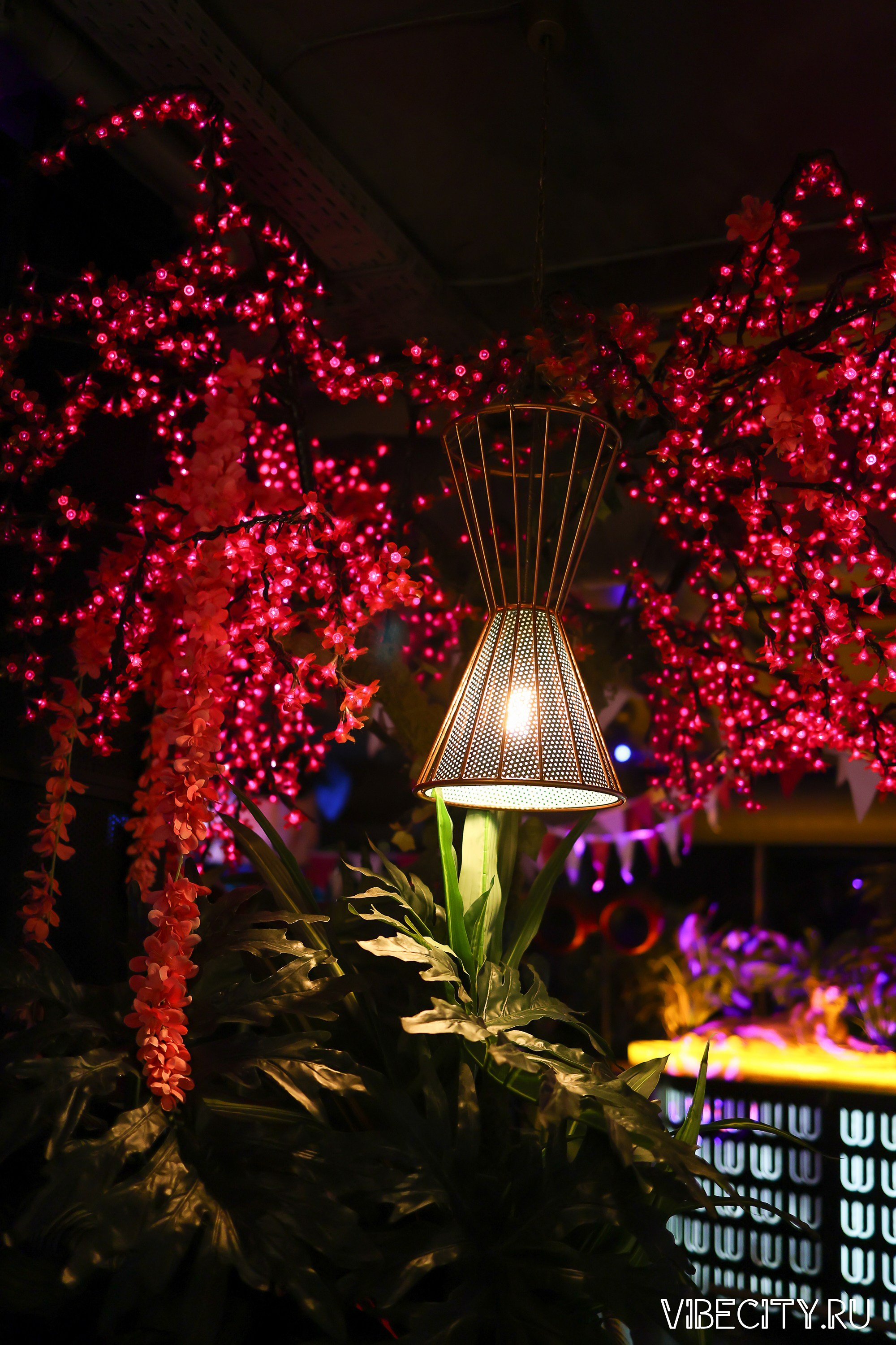 DOUBLE U. VIBECITY.RU Вайб Сити Ру Фоторепортажи Фотоотчеты Калининград