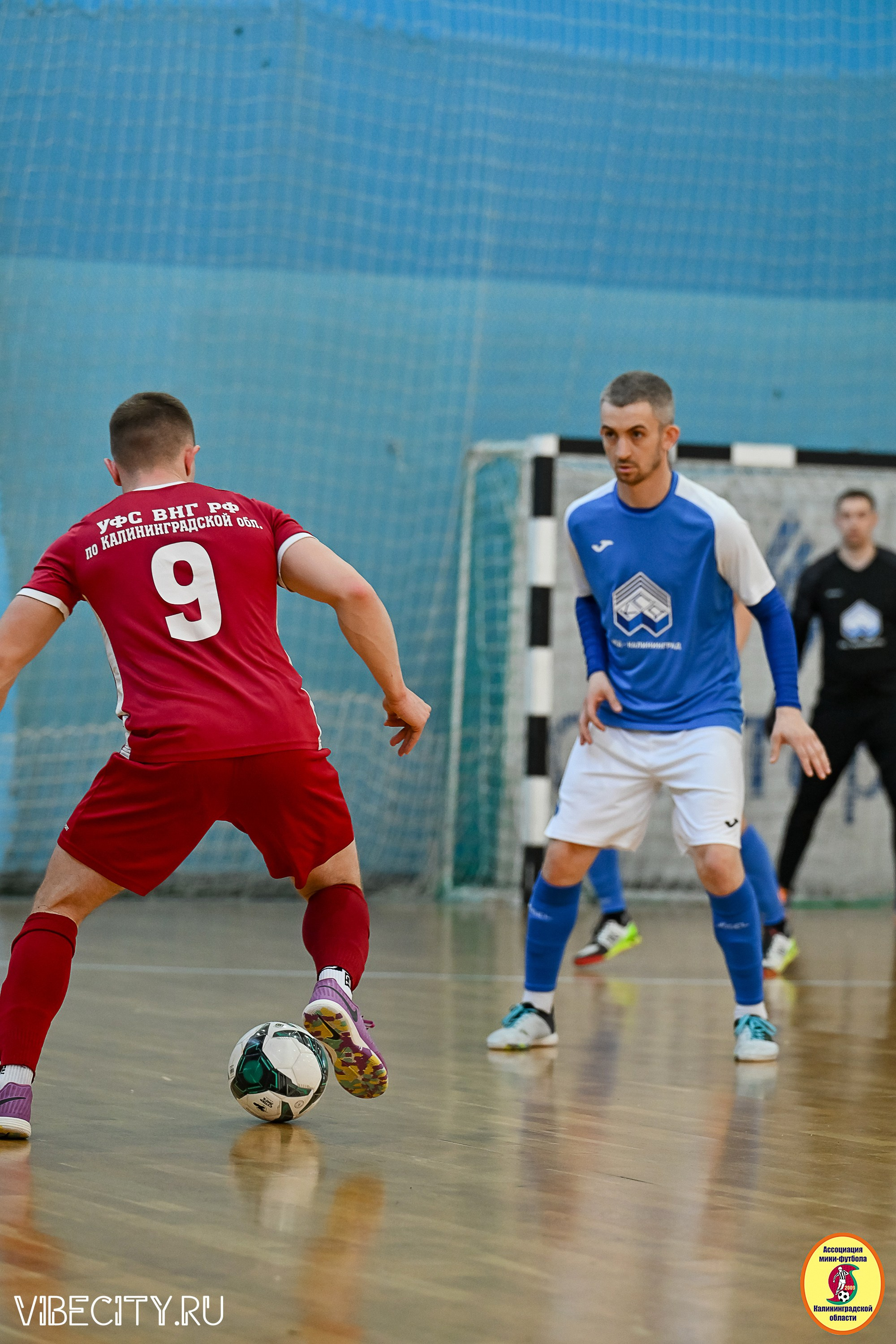 МФЛ СанТермо. VIBECITY.RU Вайб Сити Ру Фоторепортажи Фотоотчеты Калининград