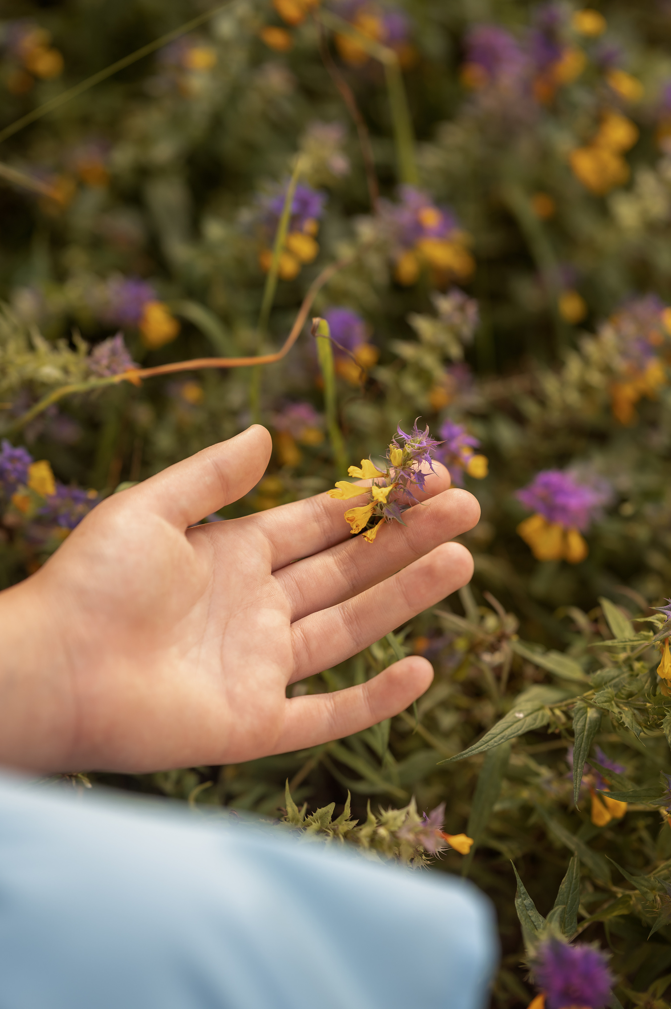 Красивые фотографии малышей и их одителей. Фотограф новорождённых, семейный, школьный в городе Калуге Евгения