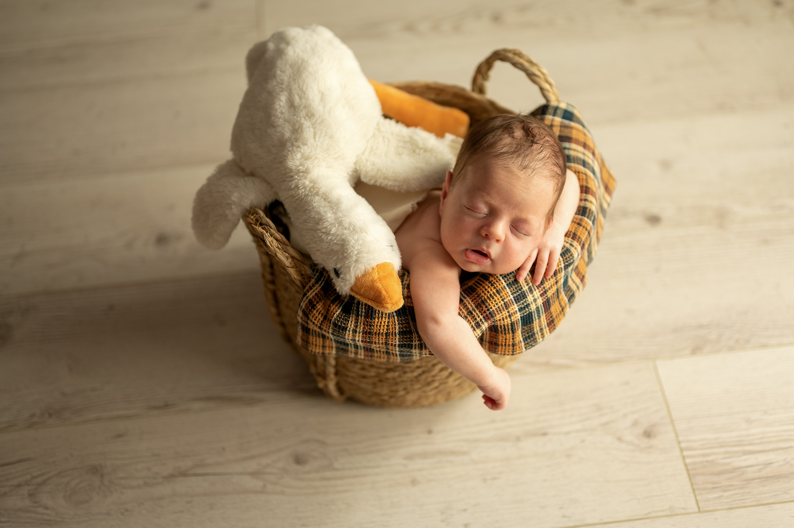 #фотосессия новорожденного. Фотограф новорождённых, семейный, школьный в городе Калуге Евгения