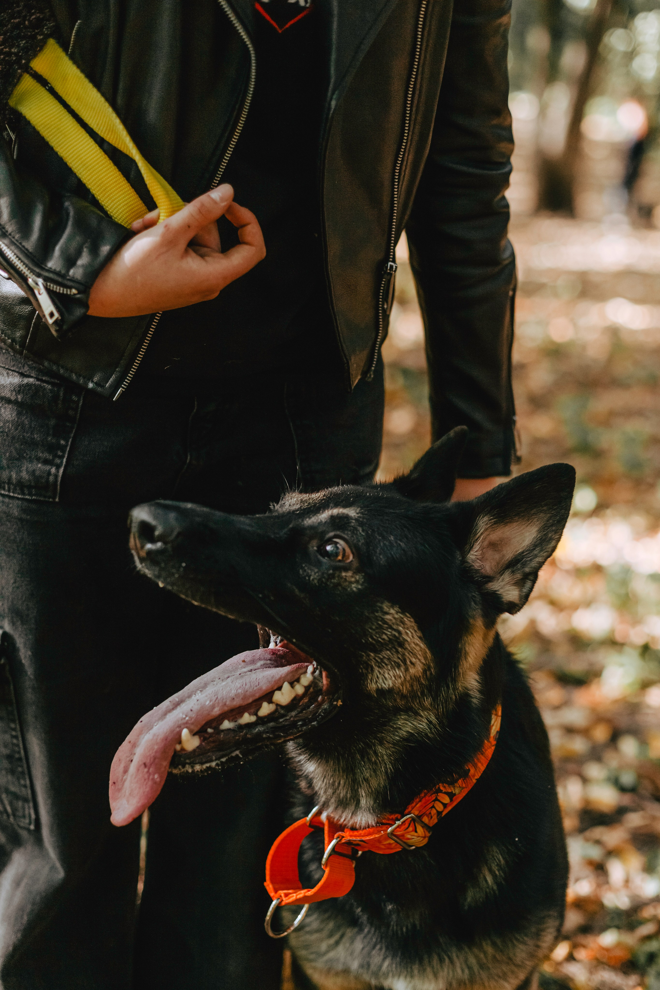 Илай. Фотограф-анималист Татьяна Степанова