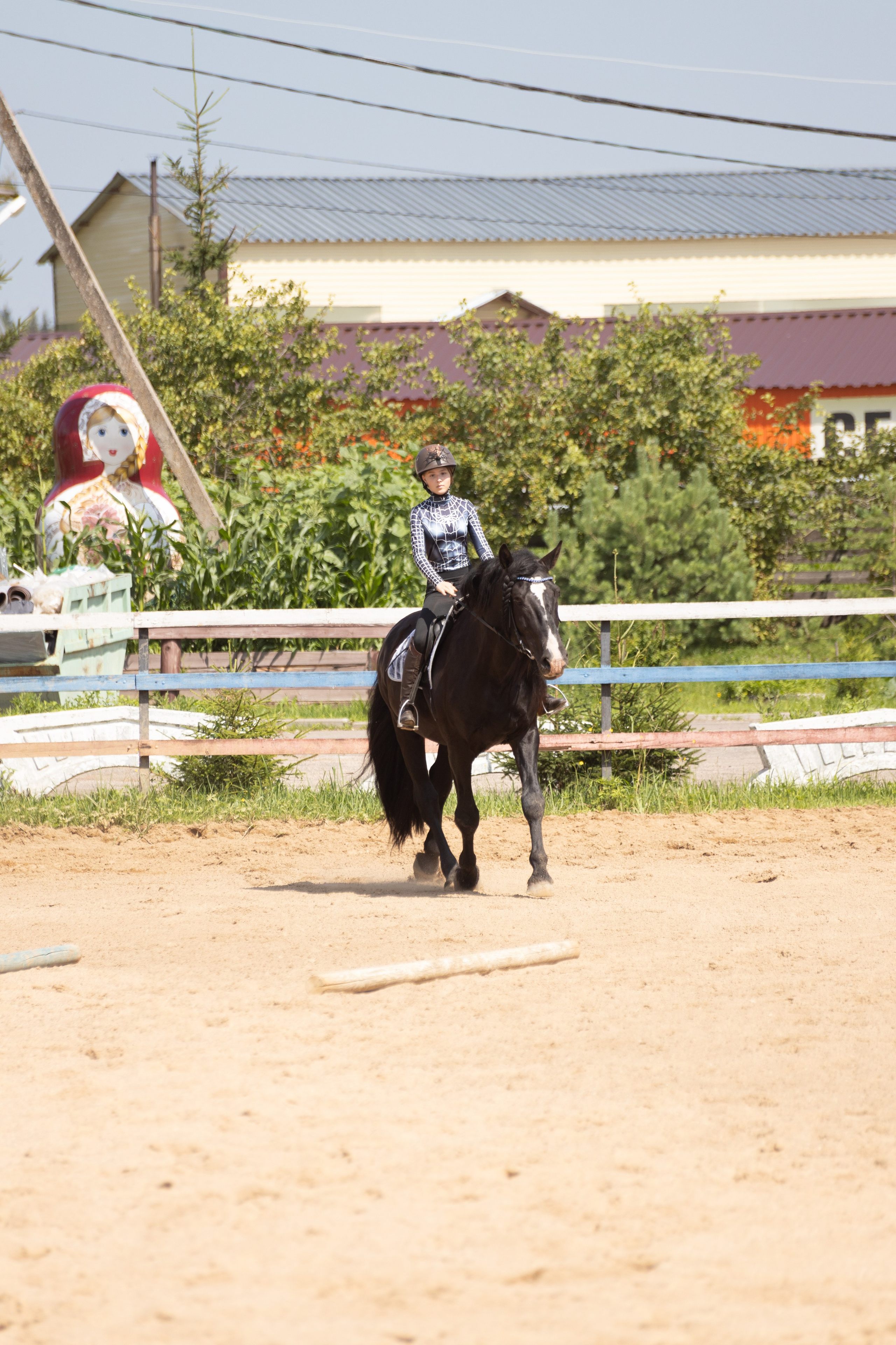 Конюшня. Фотограф в Москве и Истре