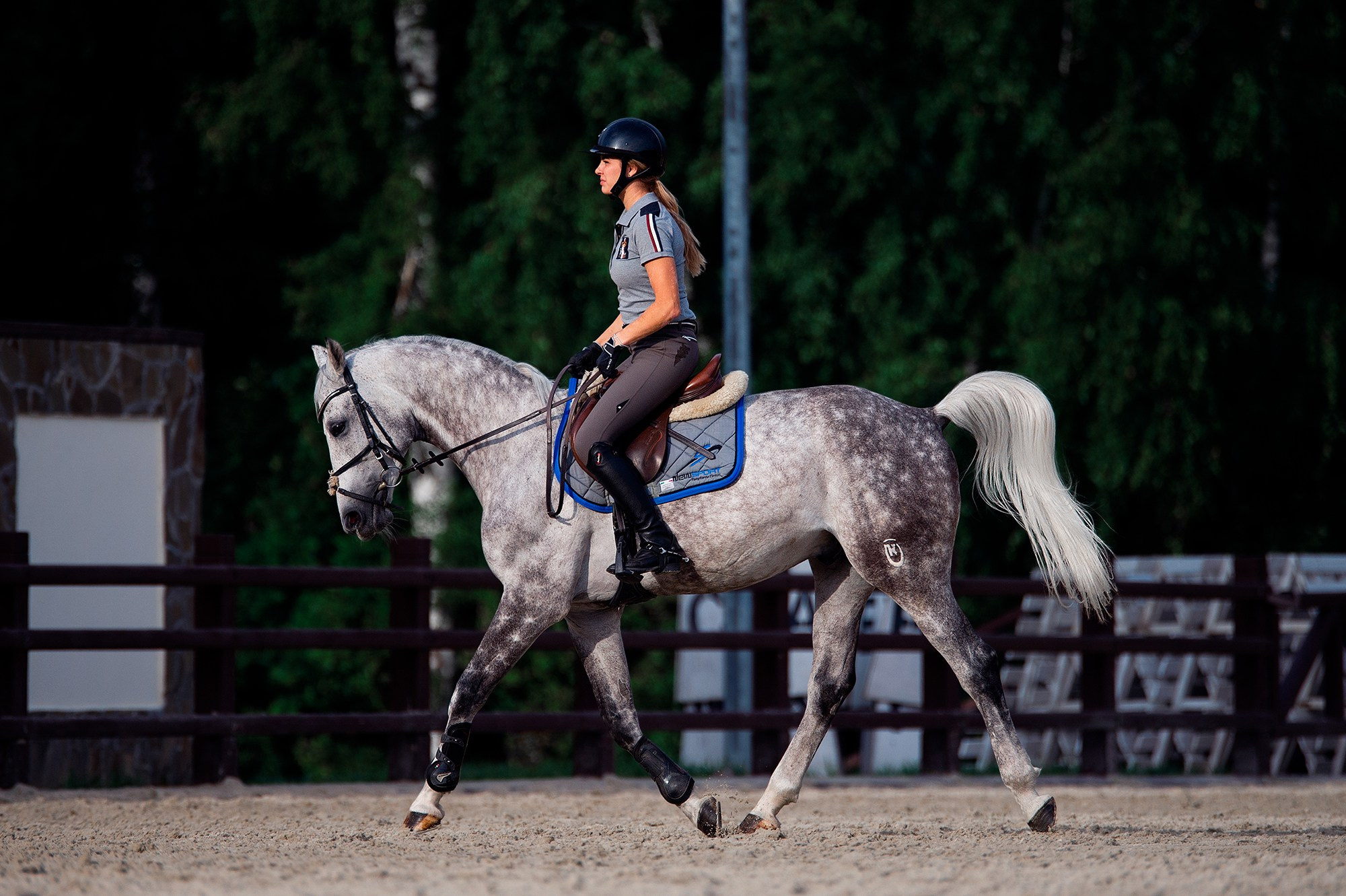 Тренировки. Конный фотограф Alesya Safe