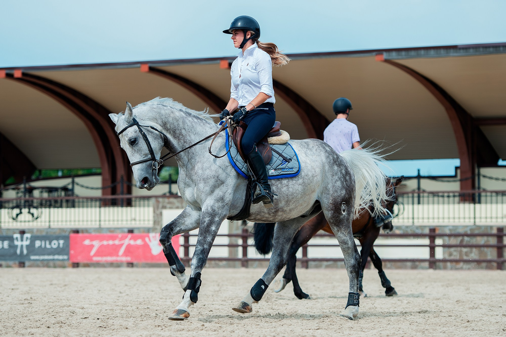 Тренировки. Конный фотограф Alesya Safe