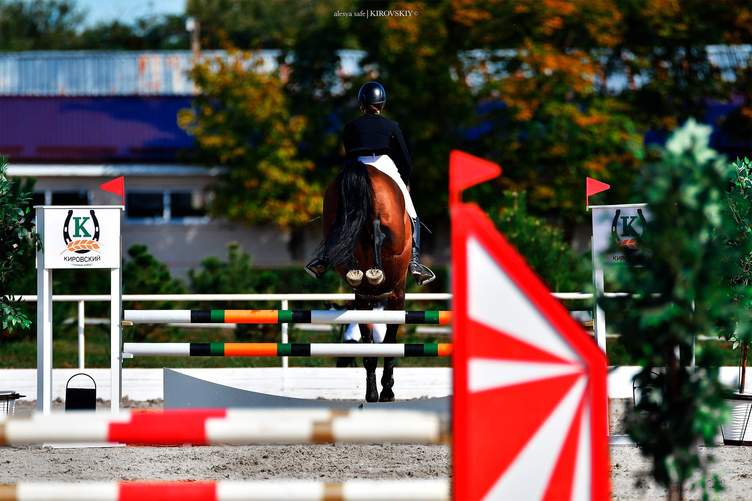 Кировский конный завод. Конный фотограф Alesya Safe
