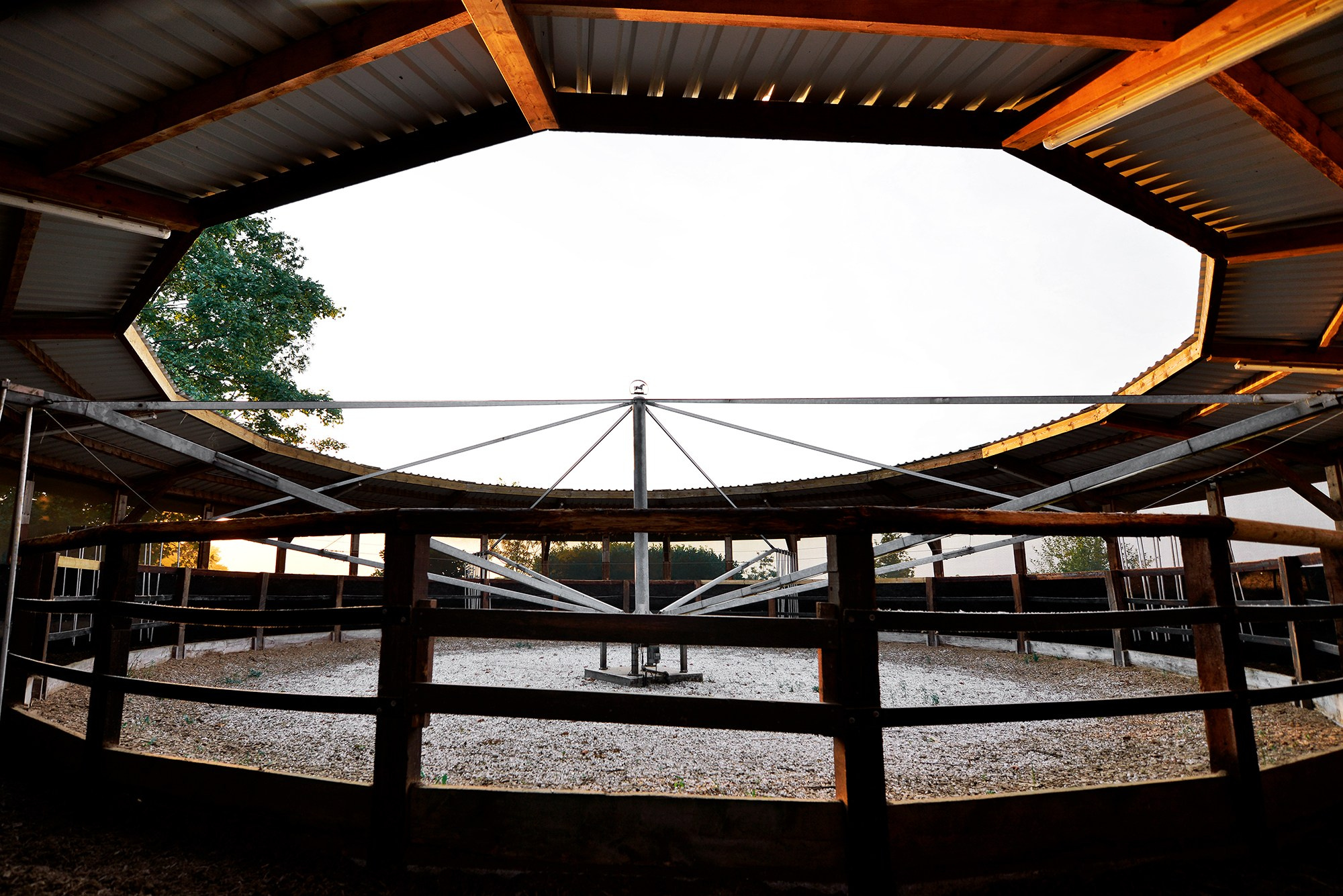 Конные клубы. Конный фотограф Alesya Safe