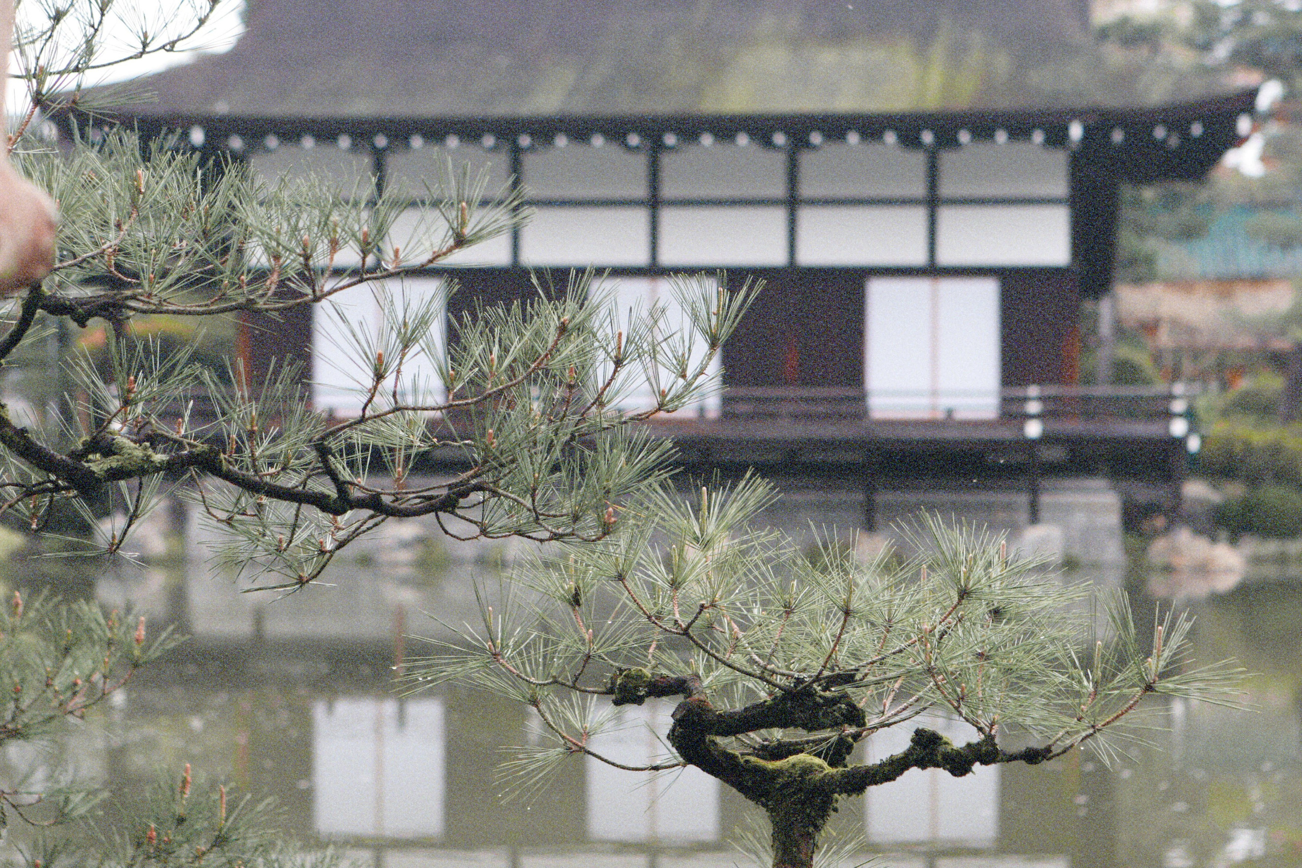 Япония. Фотография, ретушь, сканирование, восстановление старых фото, интерьерная съёмка, студия. Данилов Александр, Москва