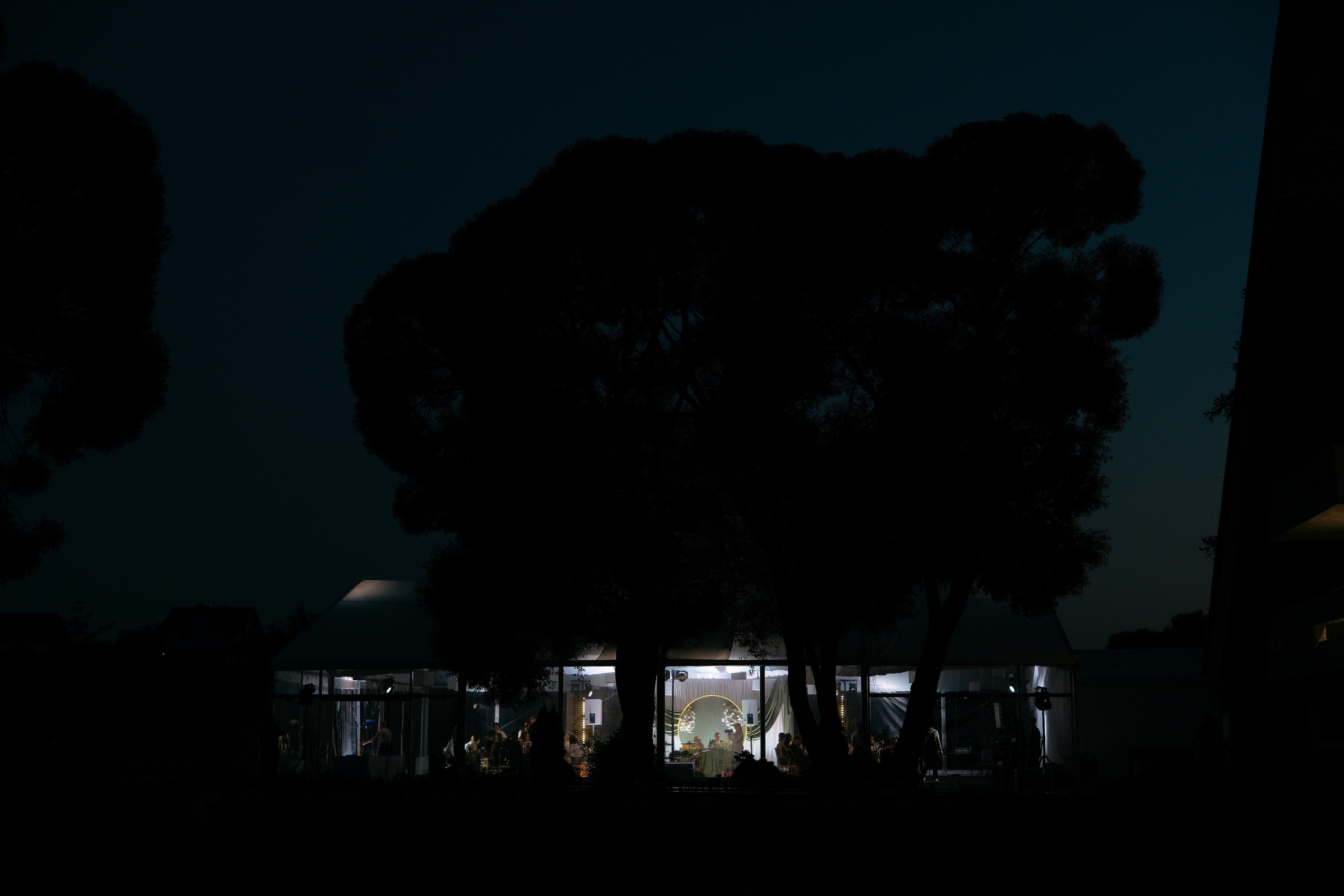 Данил и Татьяна. Свадебный фотограф в Москве и Владимире Егор Дмитриев