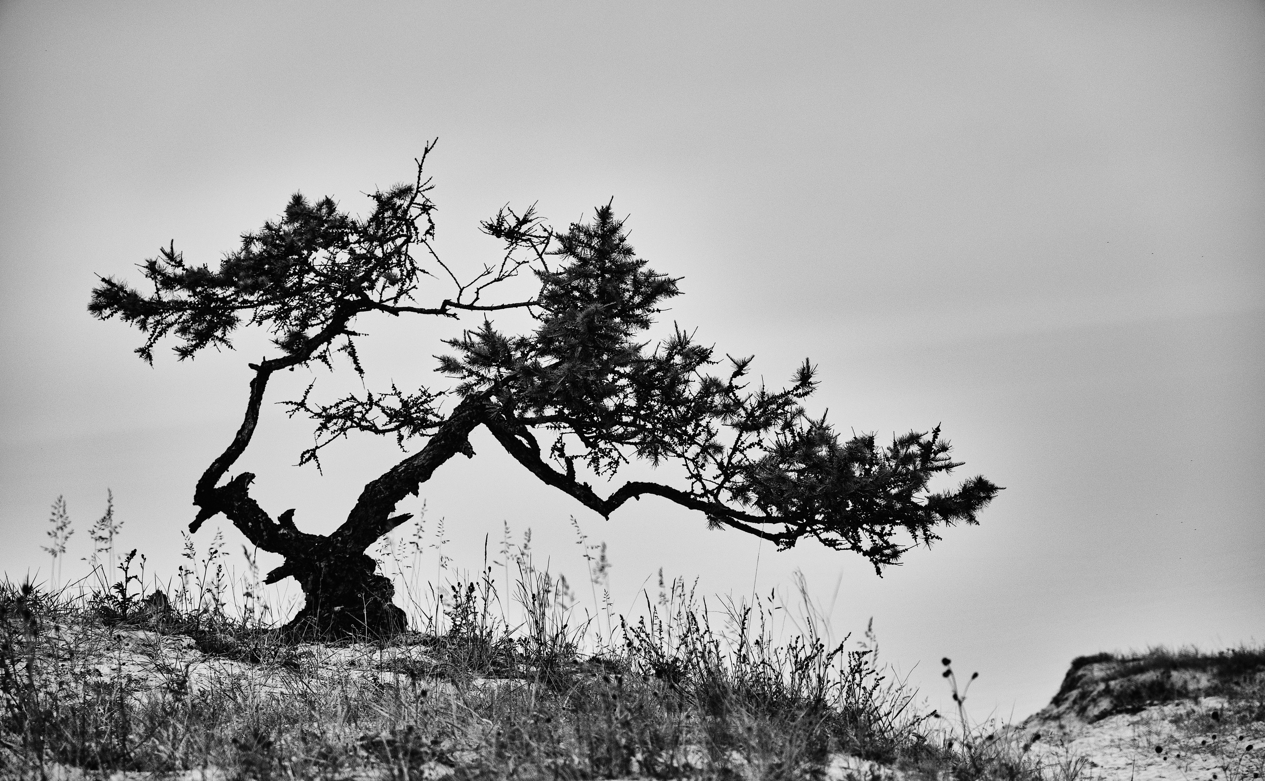 Москва — Владивосток. Охота за образами Мира. Shaltay Gallery