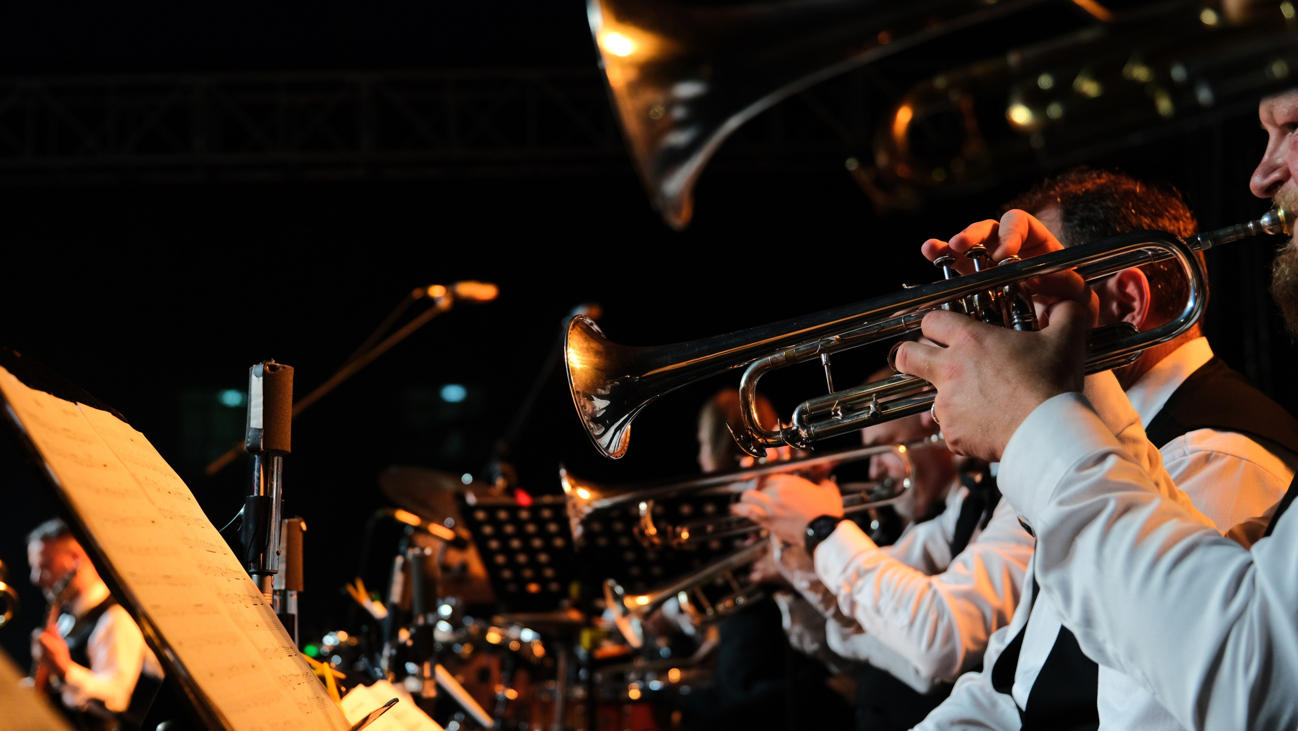 Фестиваль Джаза в Сочи. Фотограф Сочи Евгений Соколов