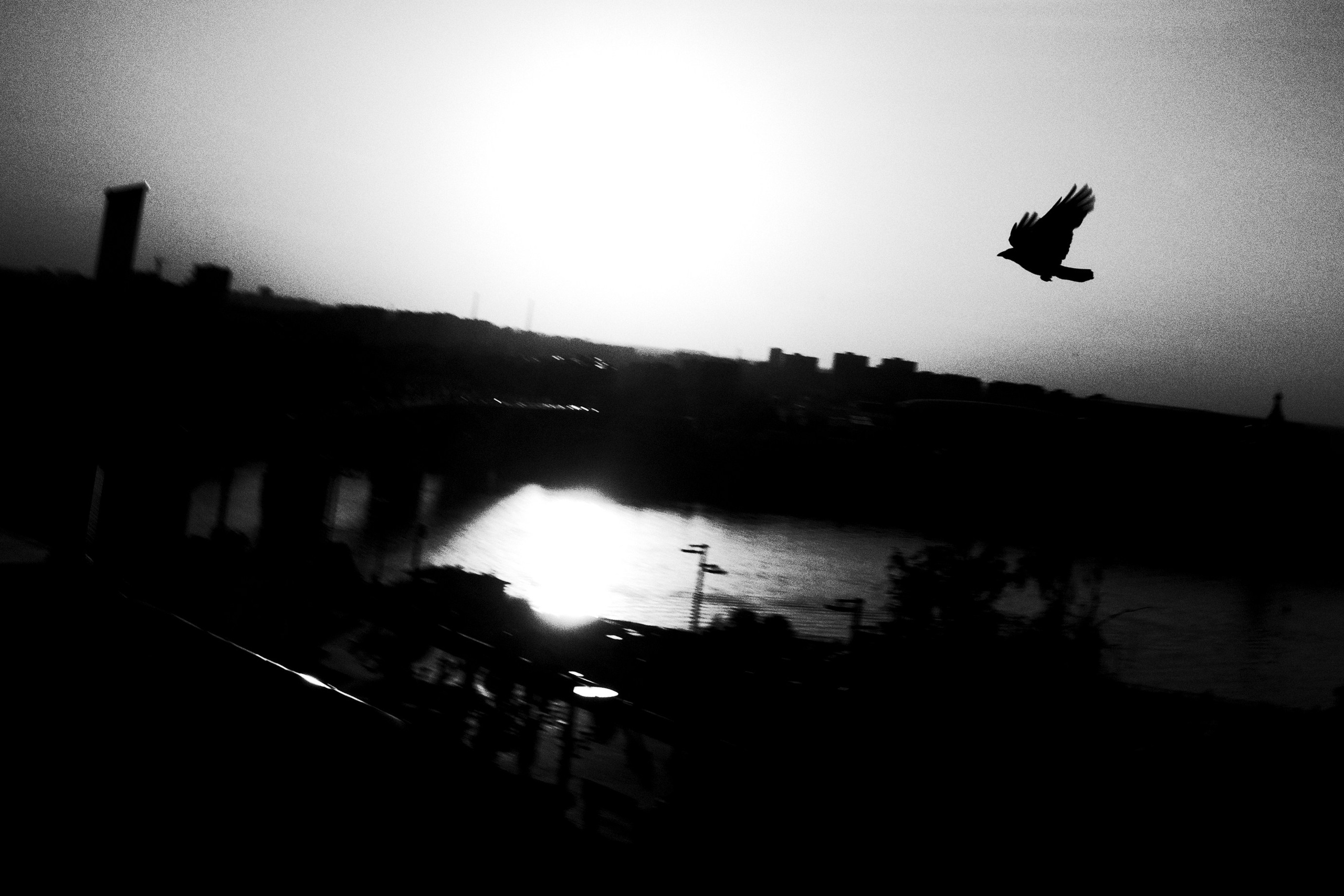 Самые черные фотографии. Артём Линейцев, фотограф