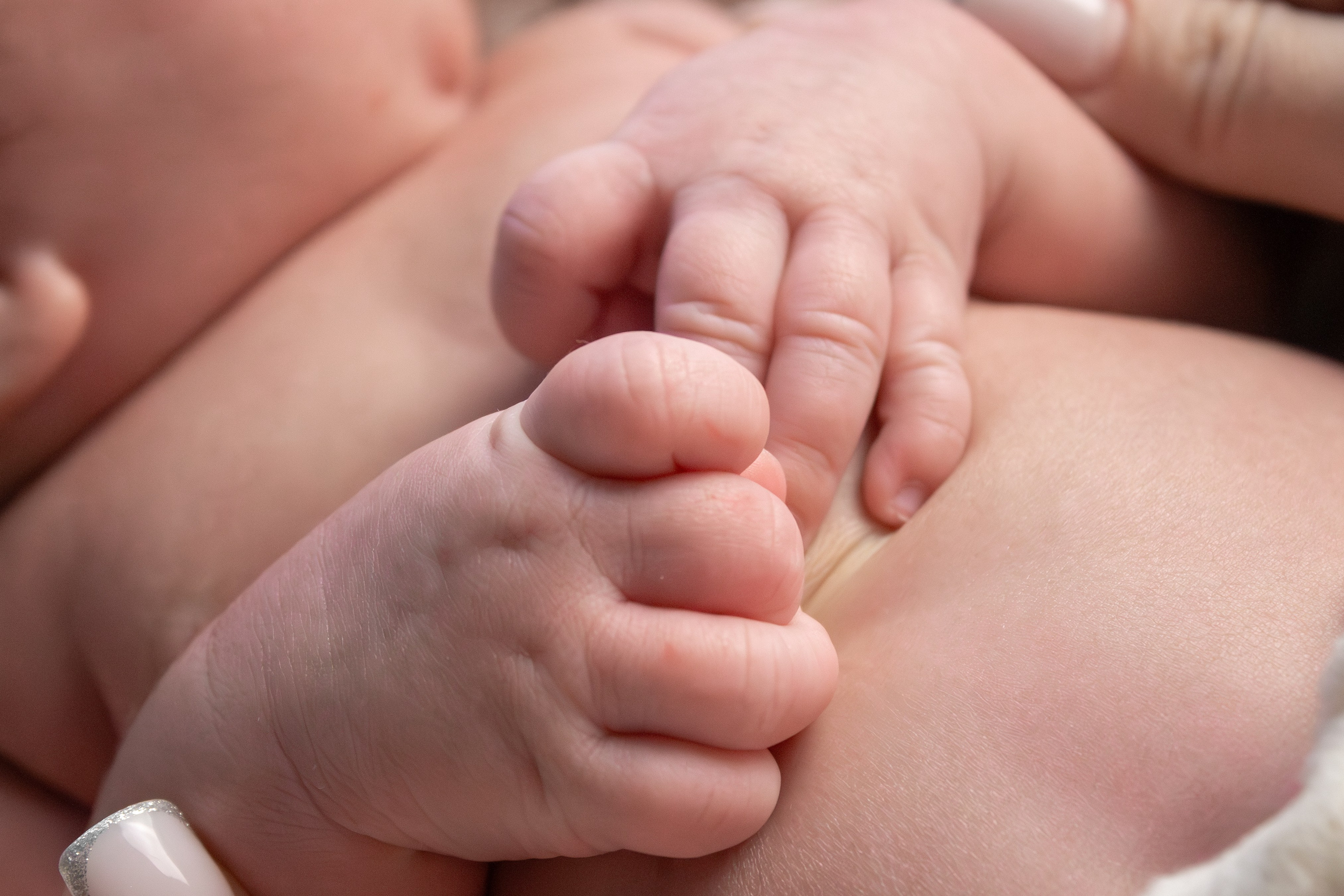 Newborn. Фотограф новорожденных Новосибирск