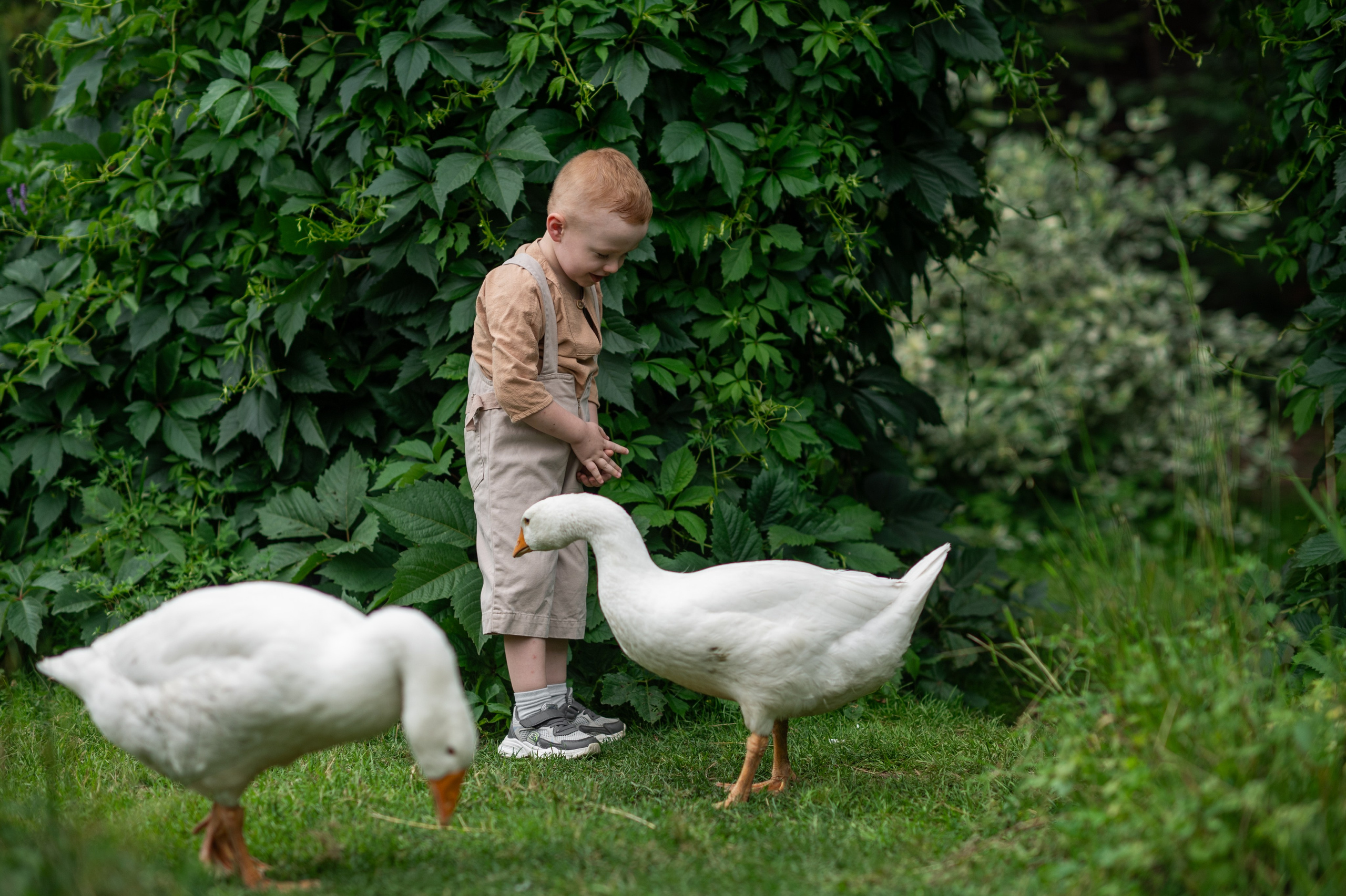 В САДУ. Семейный фотограф Екатеринбург Лора Мур
