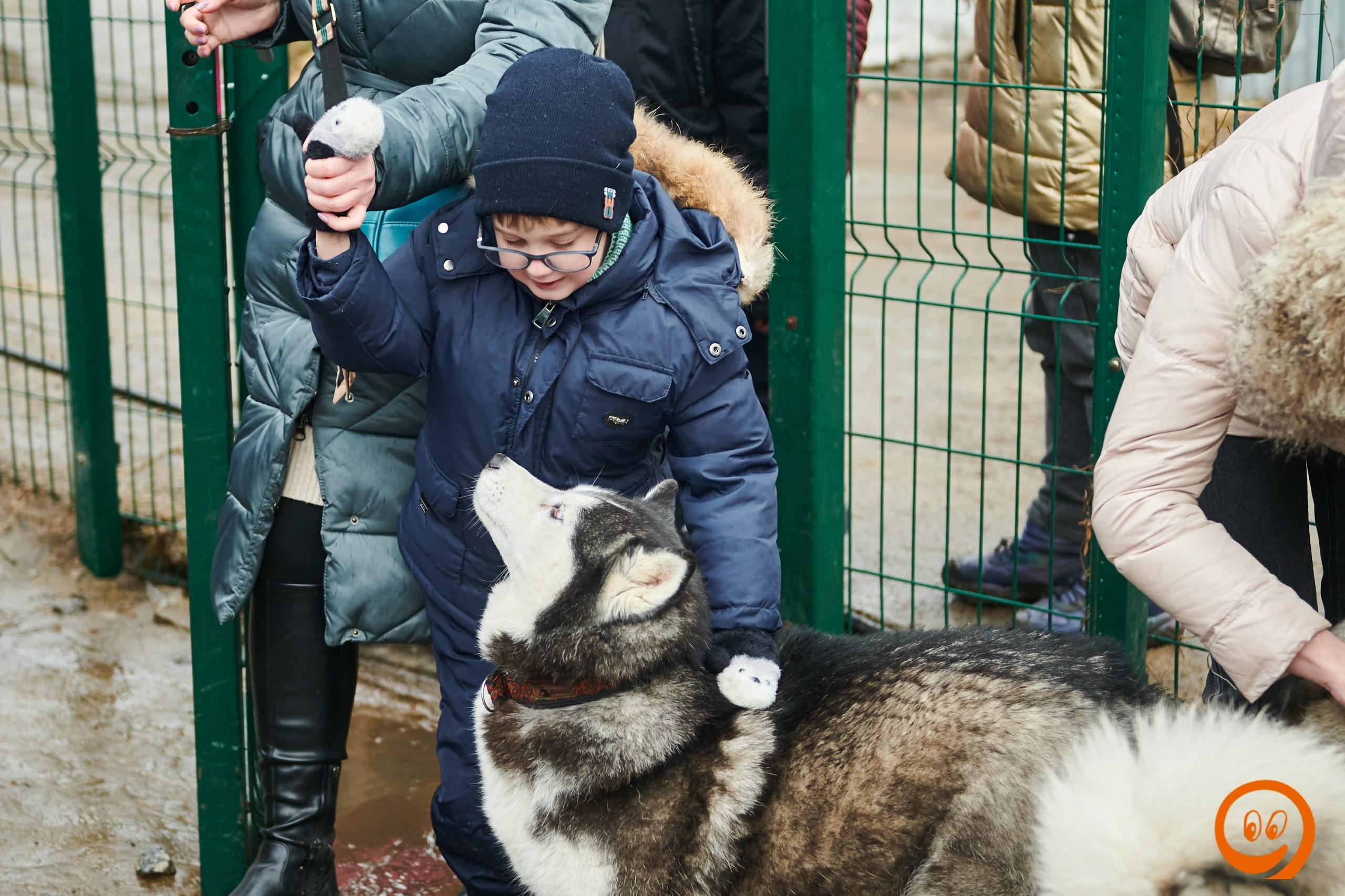 В гости к северным оленям | 18.01.2025. Галерея Фантим