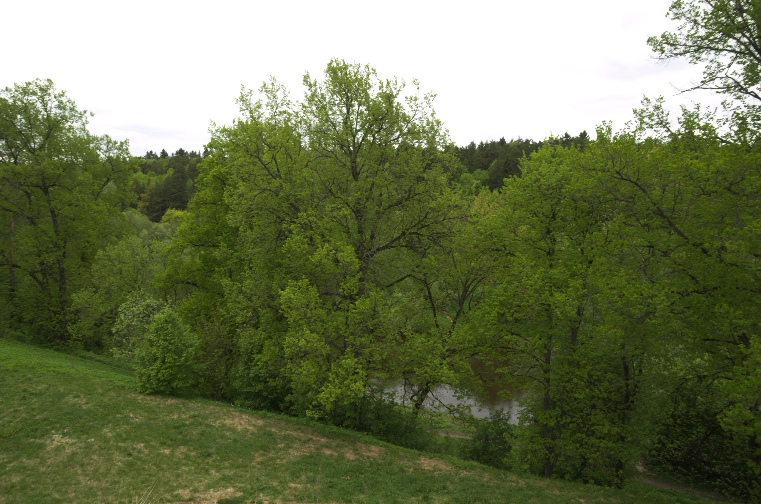 Мелихово | 21.05.2017. Галерея Фантим
