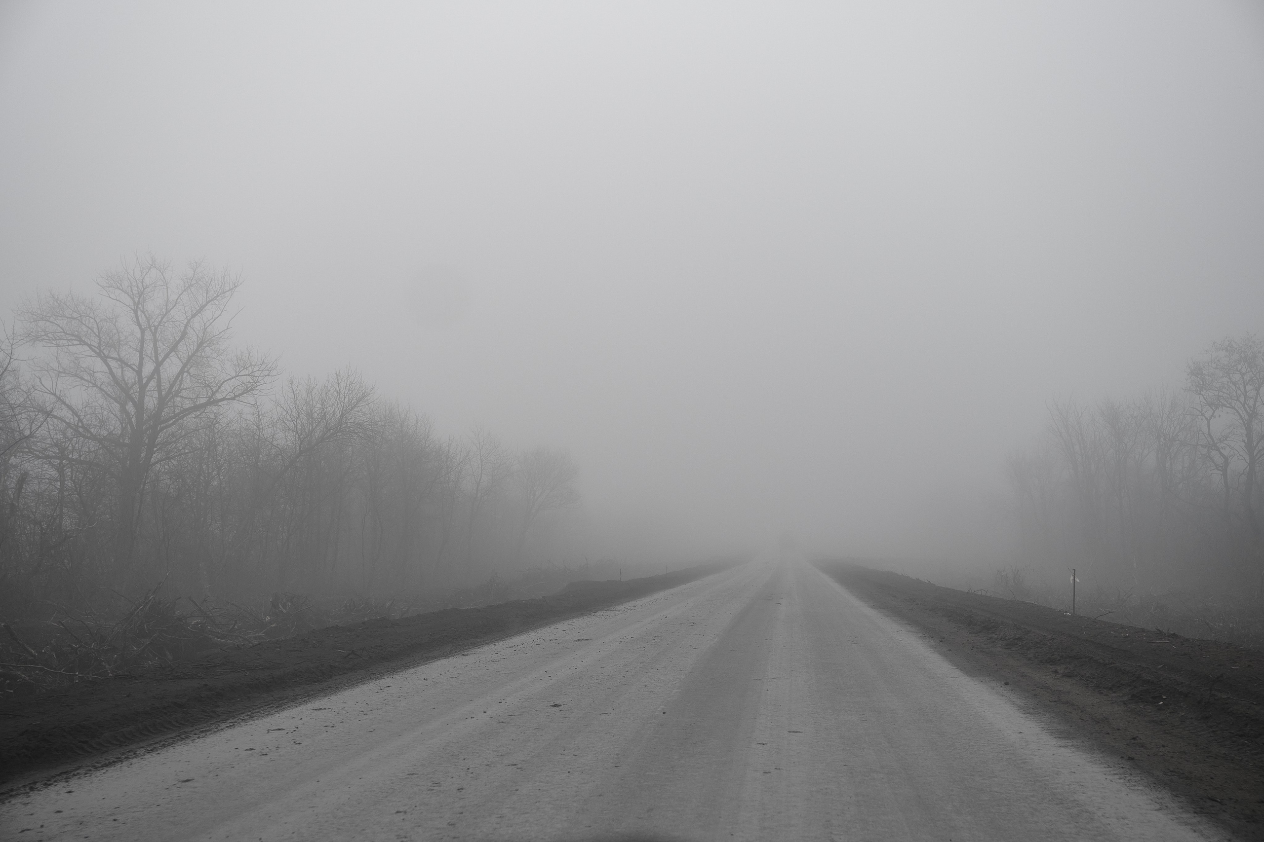 Дорога домой. Туман. Фотограф Роман Адлер