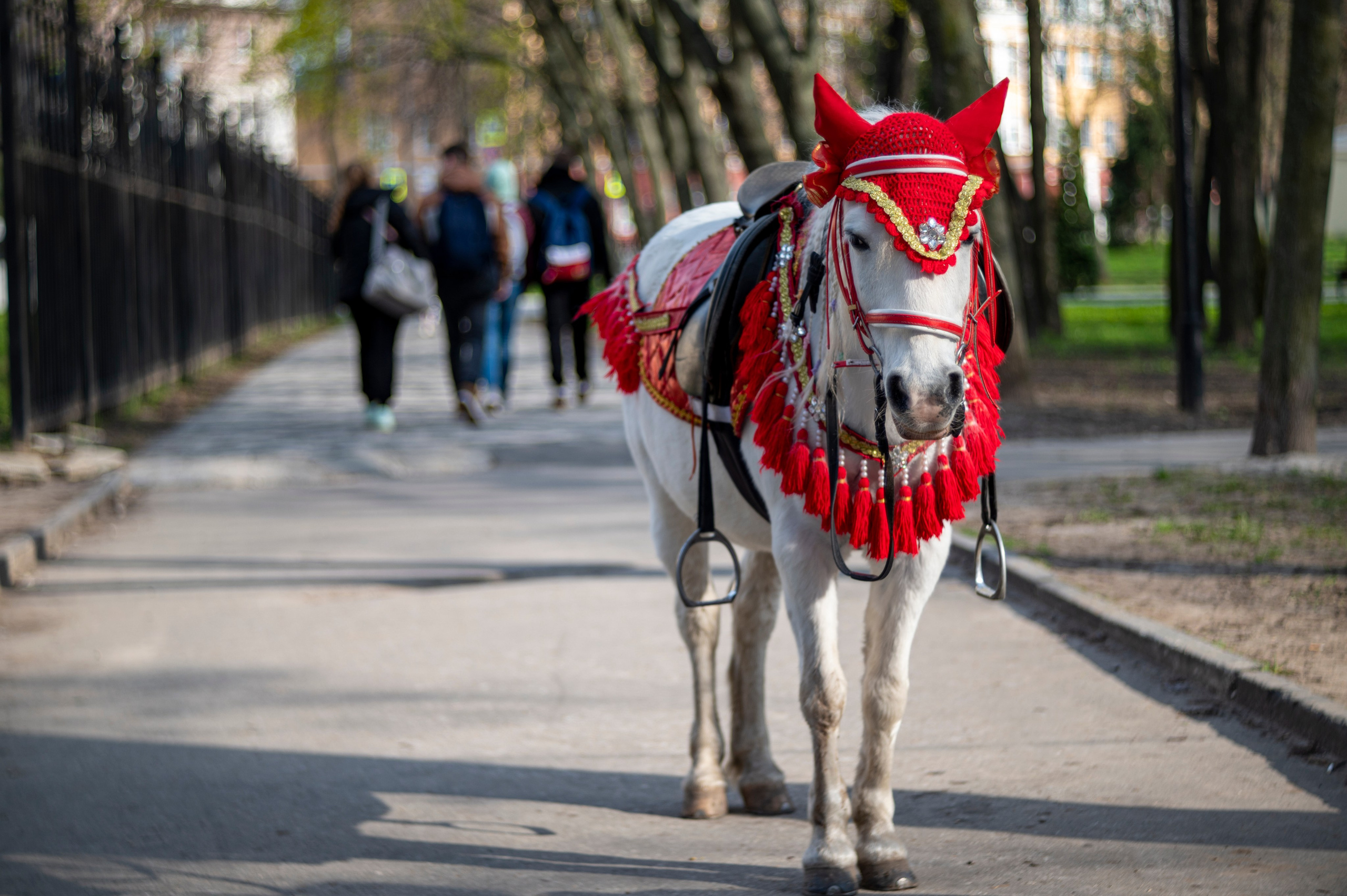 Рязань. Май 2022. Фотограф Роман Адлер