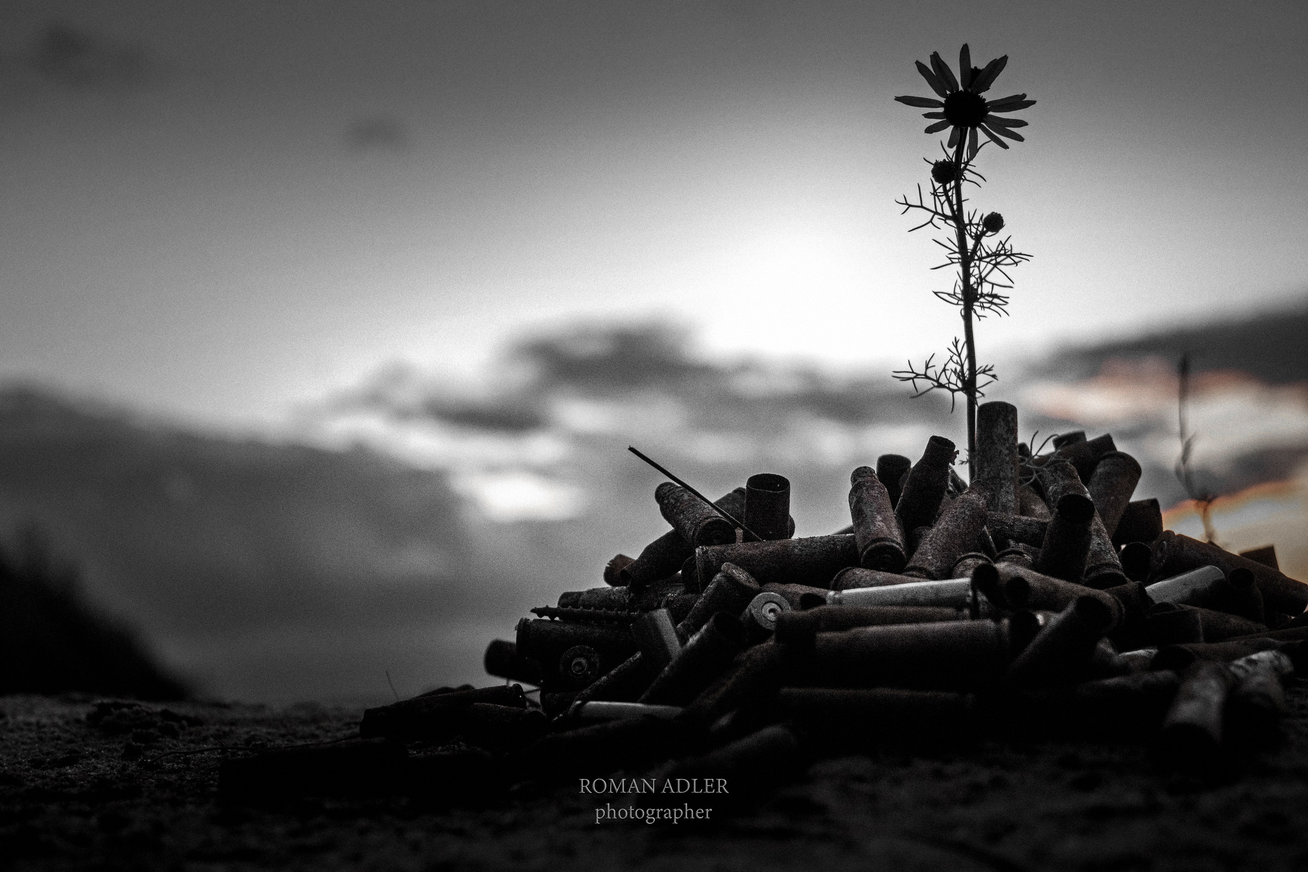 Памяти павшим 2021. Фотограф Роман Адлер