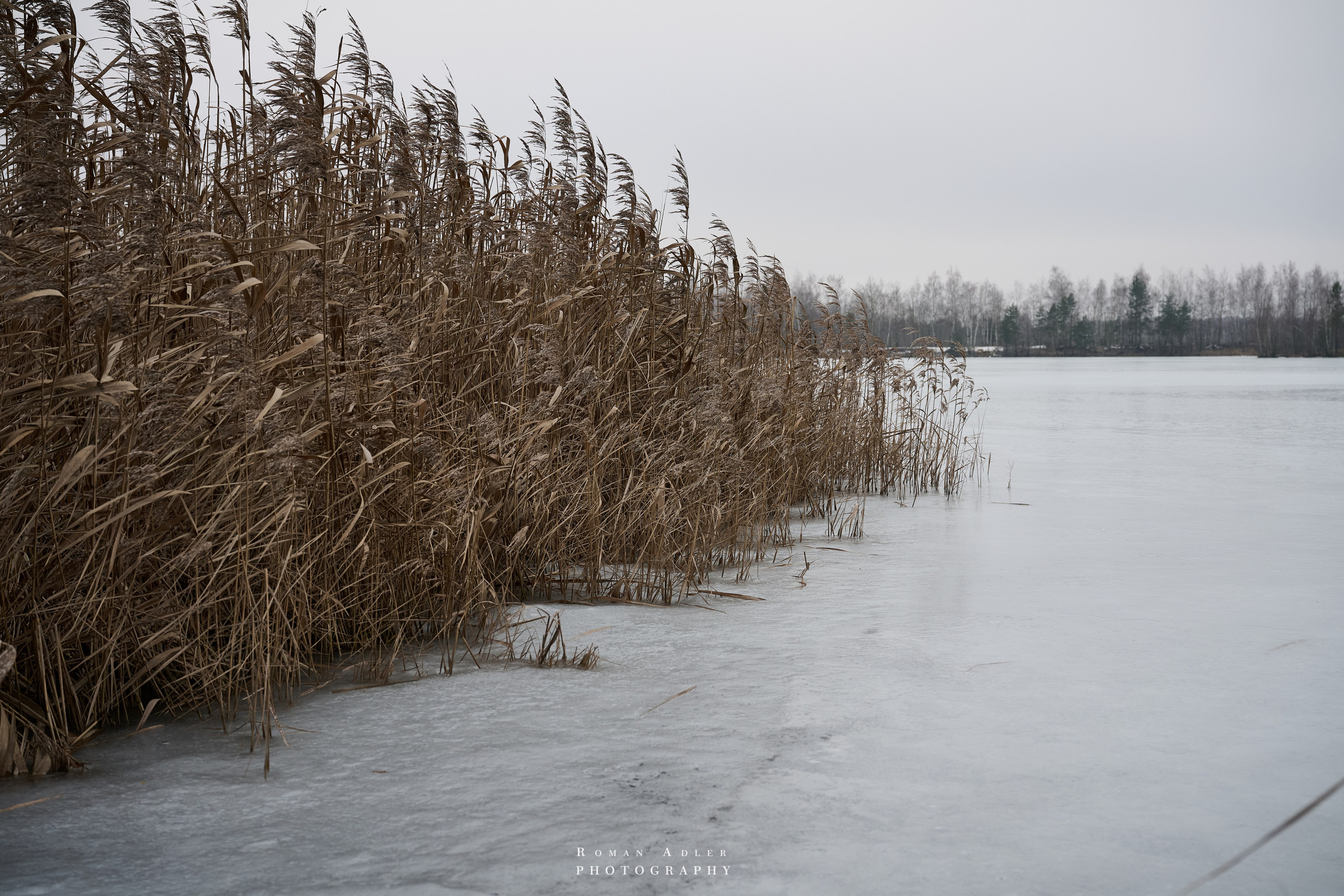 Место силы…. Фотограф Роман Адлер