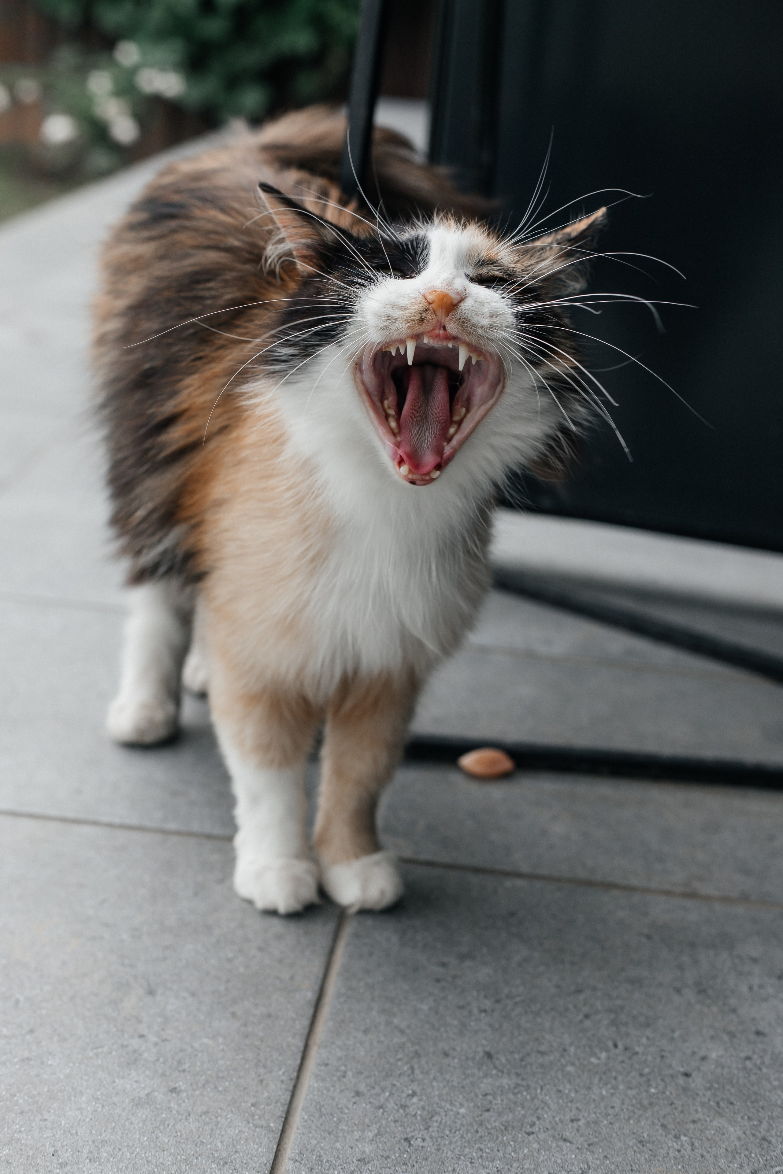 Репортаж. Свадебный фотограф в Москве Элина Ларченкова. Фото, которые цепляют