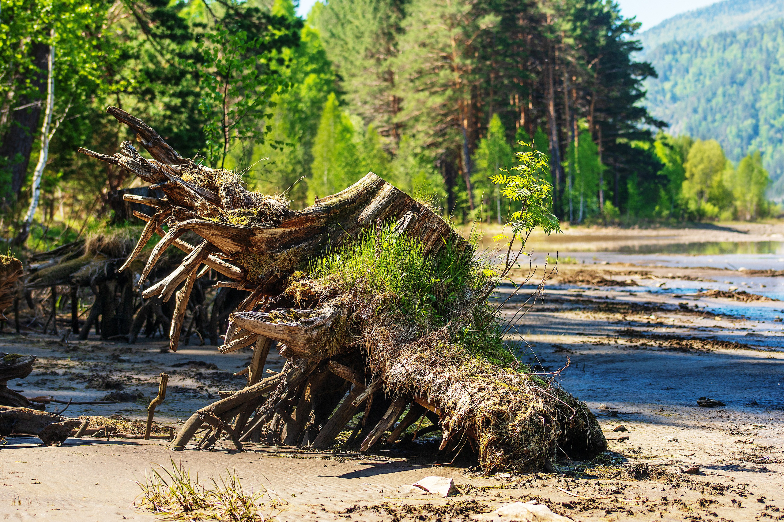 Пейзажная съемка. Фотограф в Саяногорске, Абакане Владимир Воробьев