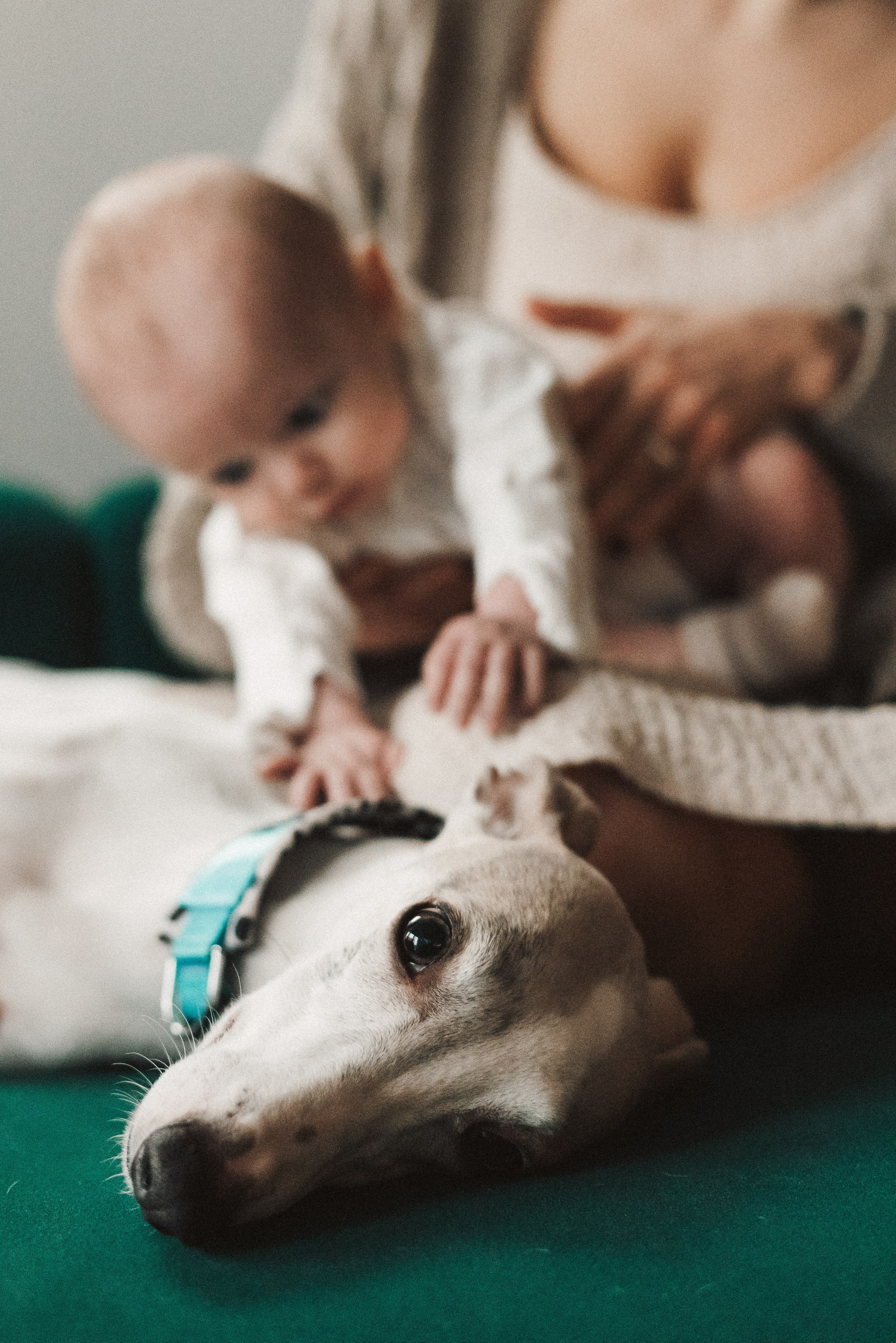 Zarina & Leah. Natalia Finch Photography — Family, Kids & Pet Photographer in Chicago, IL