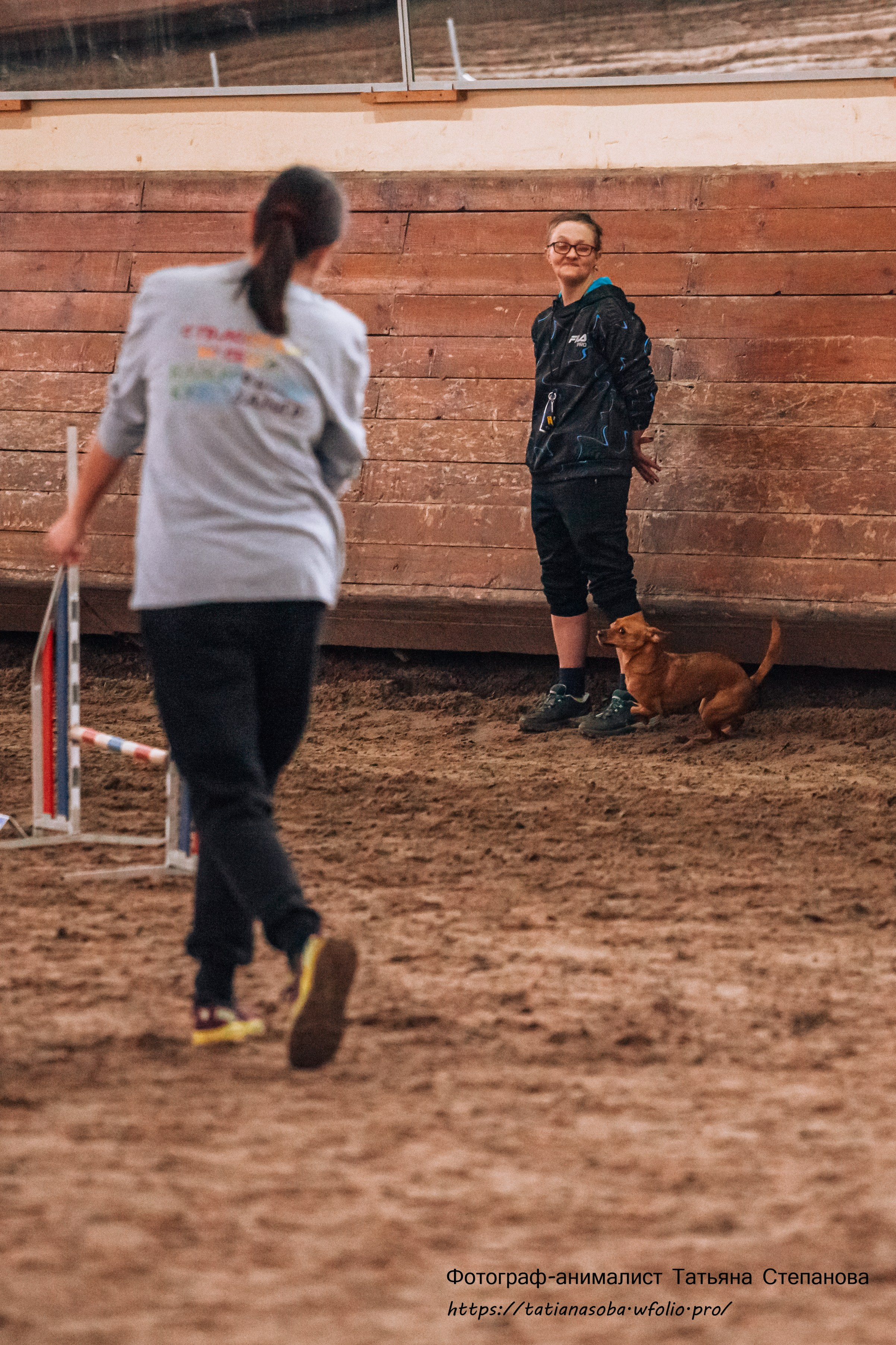 Соревнования по Аджилити 25.02.2024. Фотограф-анималист Татьяна Степанова