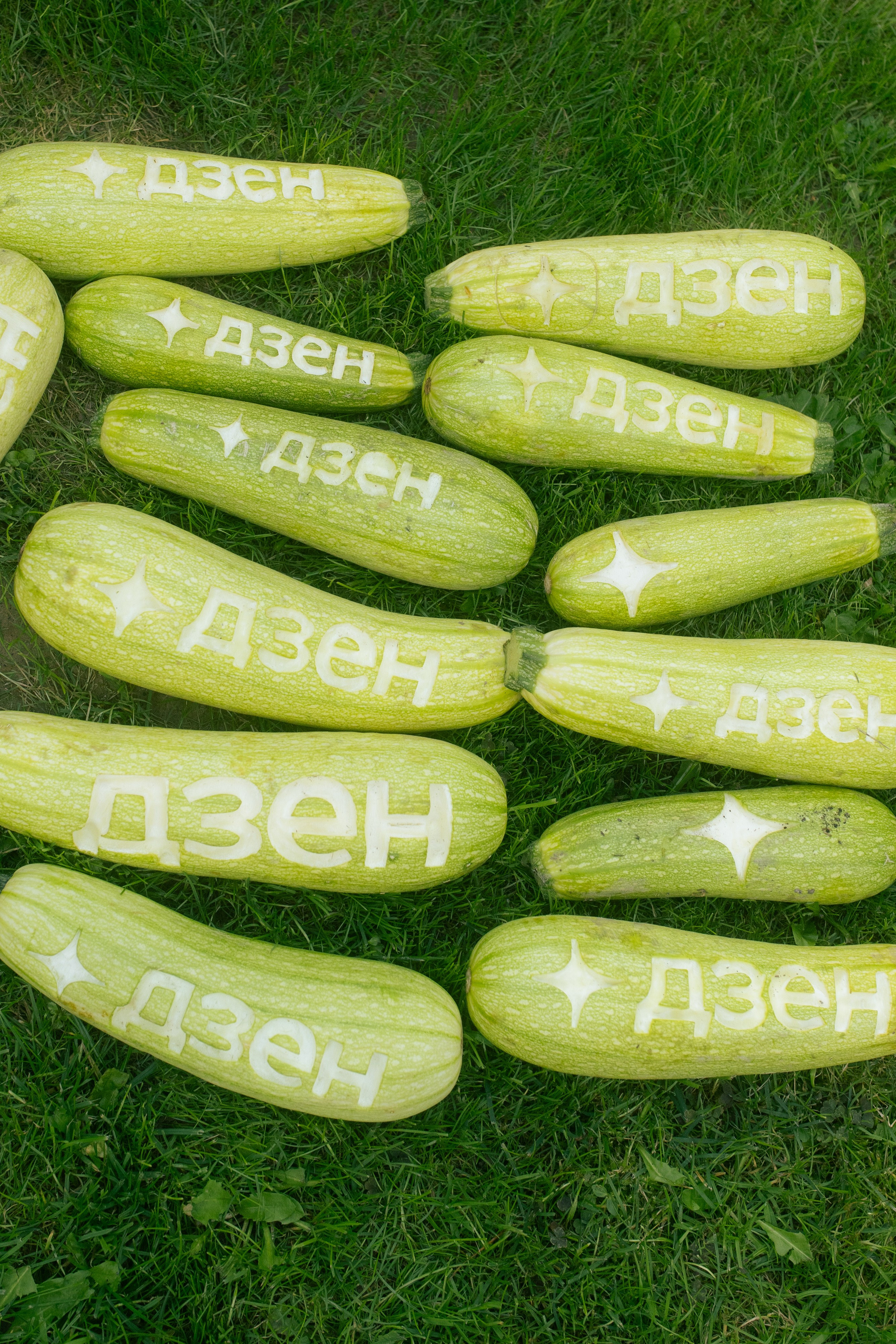 Яндекс Дзен. Предметный фотограф Москва Глухарёва Оля