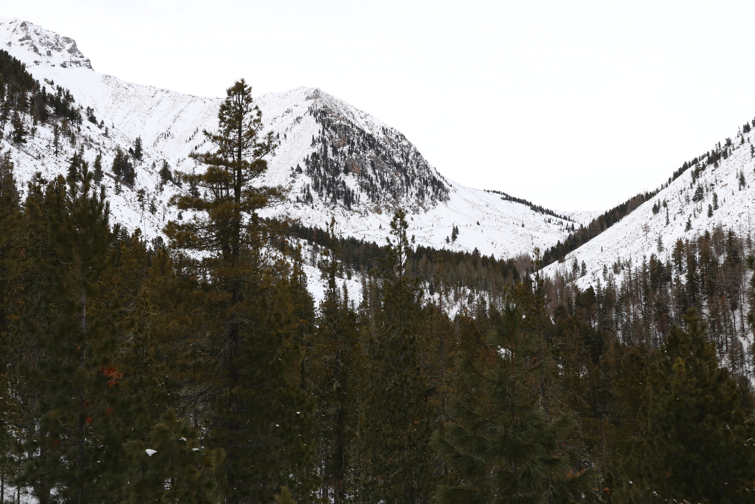 Аршан. Январь 2024. Путешественник-фотограф из Санкт-Петербурга Татьяна Свистулина