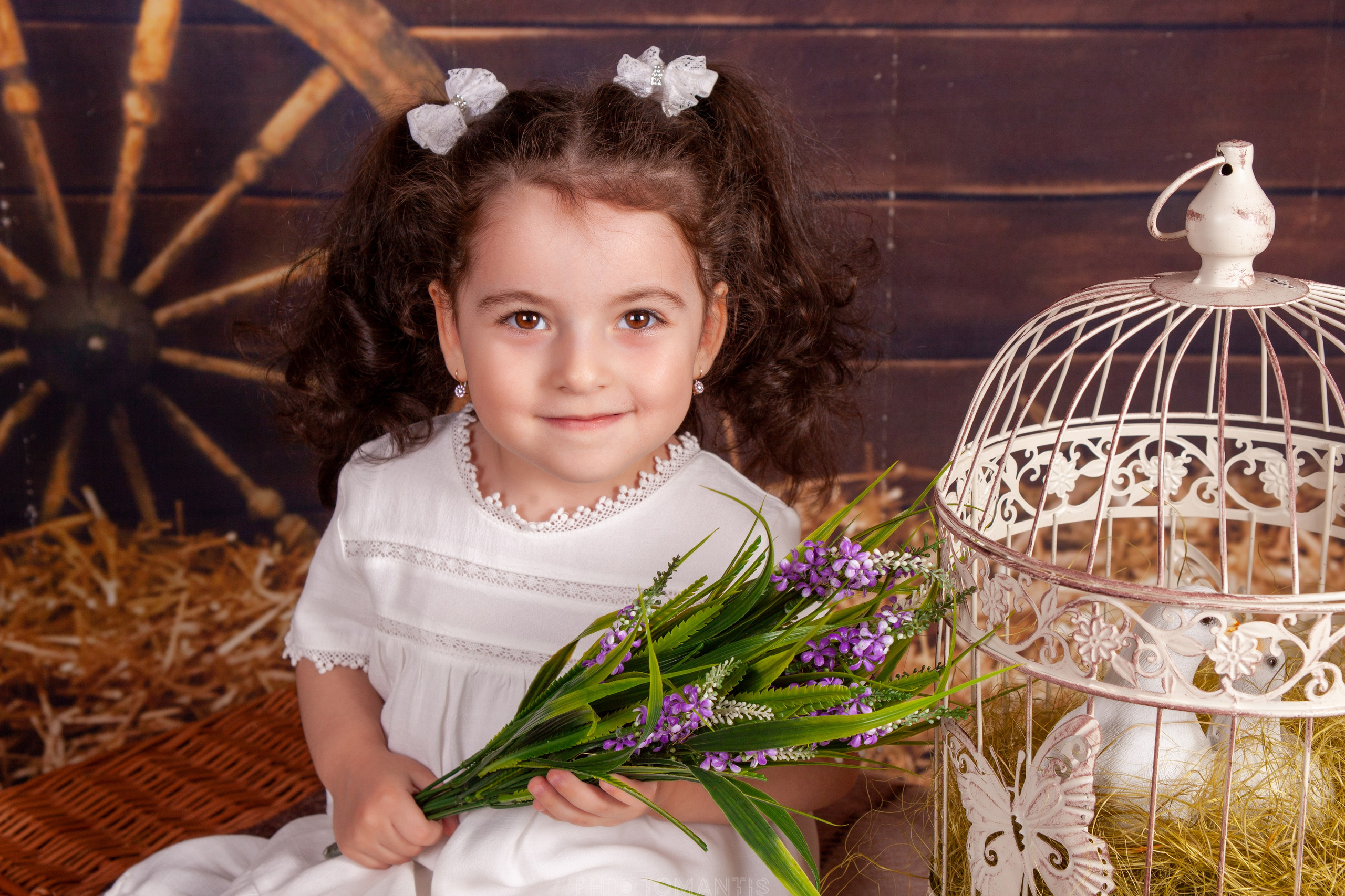 Студия. Photomantis