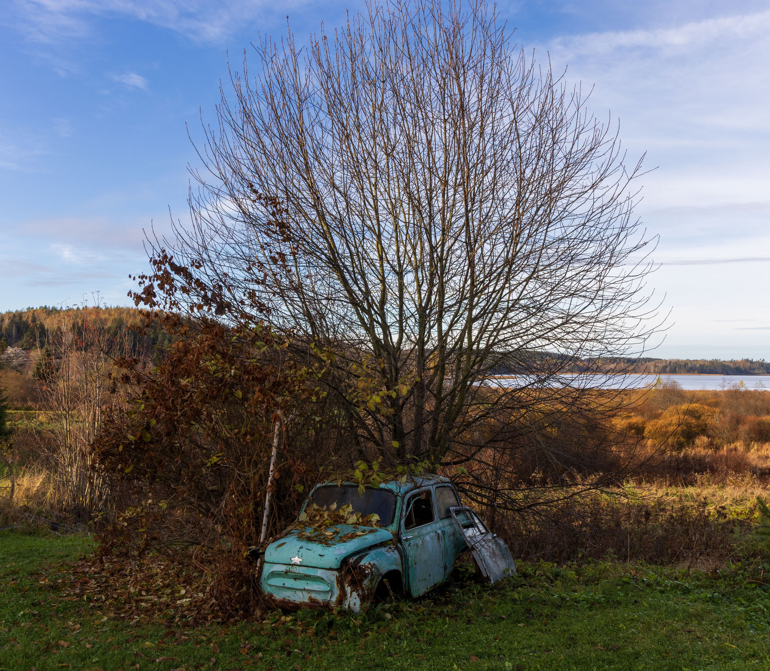 Природа Карелии октябрь 2025. Портретный и семейный фотограф Санкт-Петербург