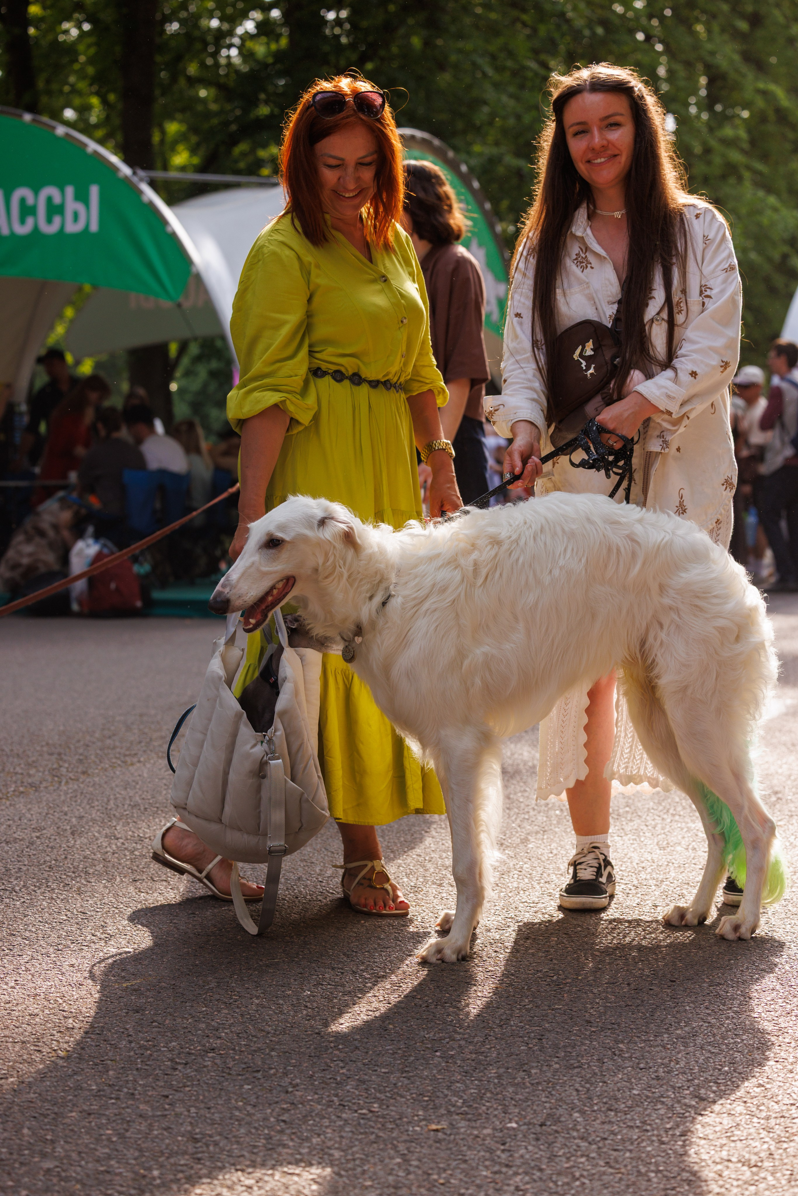 PetShopDays2026. Фотограф Александр Заломаев