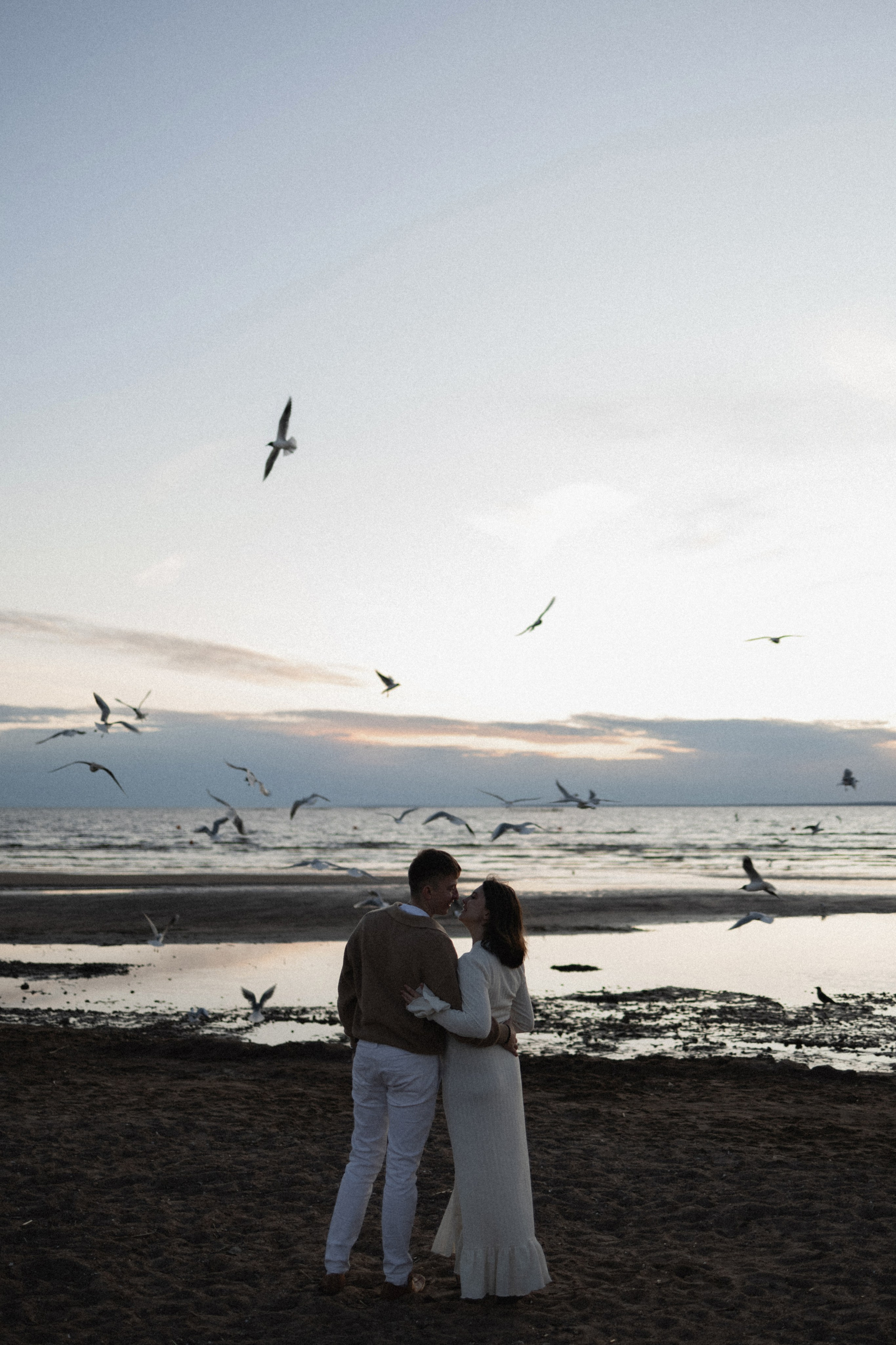 Любовь и чайки. Фотограф Daria Wilner