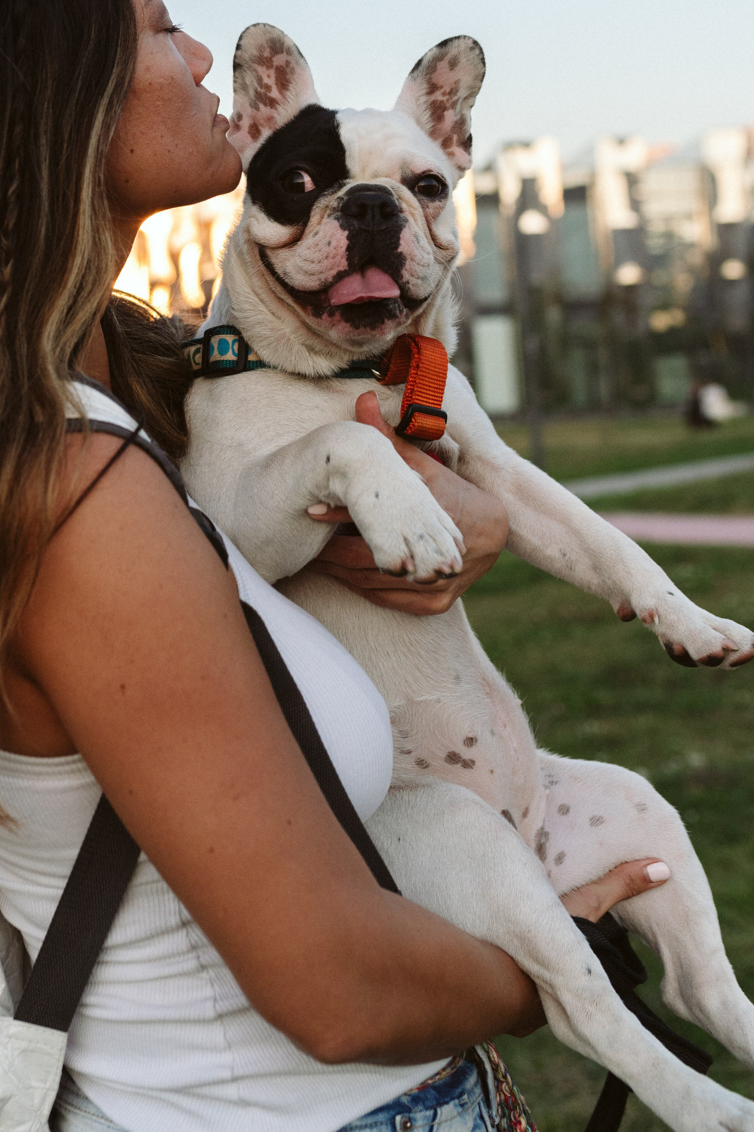Инна и Белль. Фотограф анималист в Москве Ольга Агушева