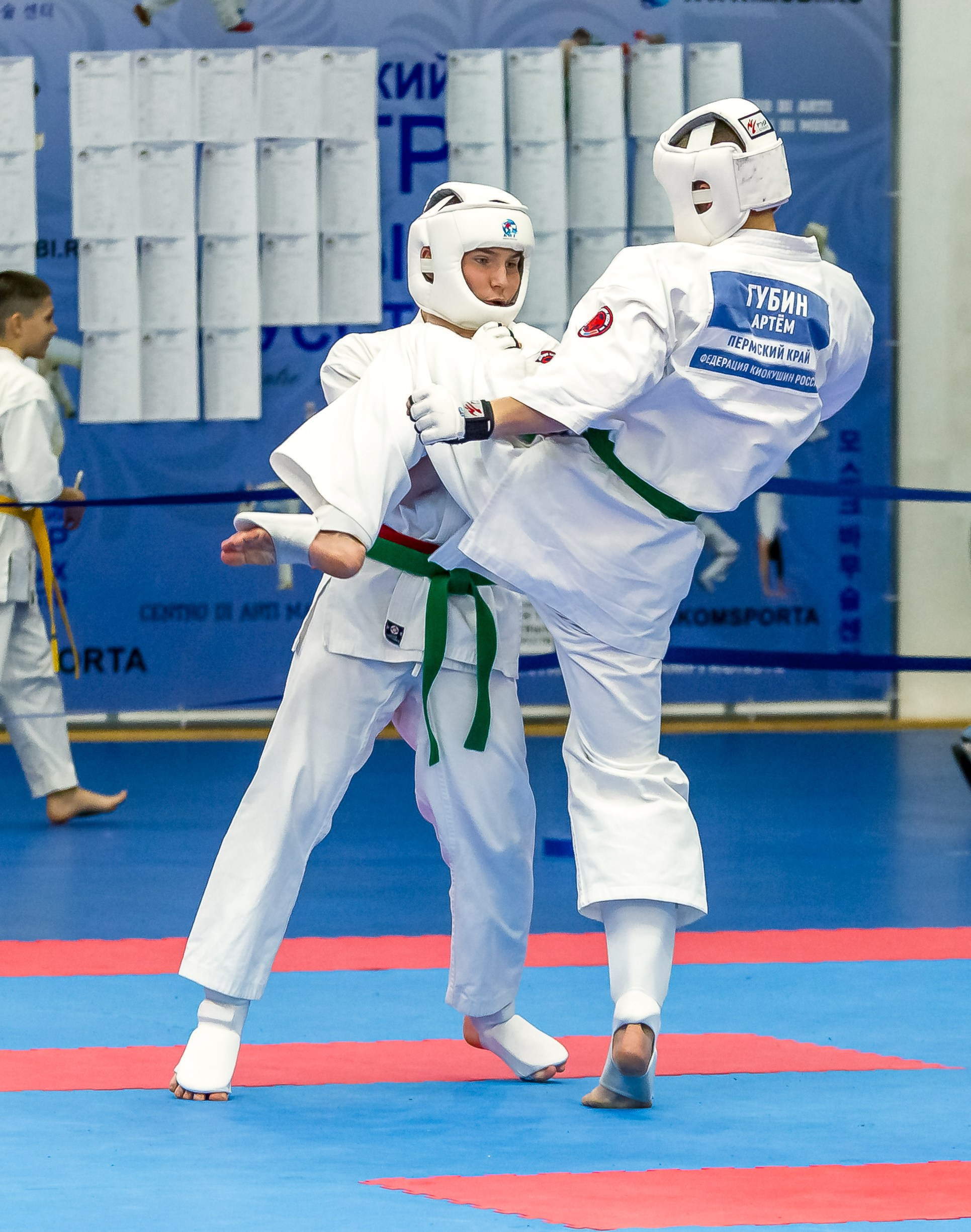 Соревнования по Киокушин памяти С. Увицкого. Репортажная съемка в Москве и области. Анималистика