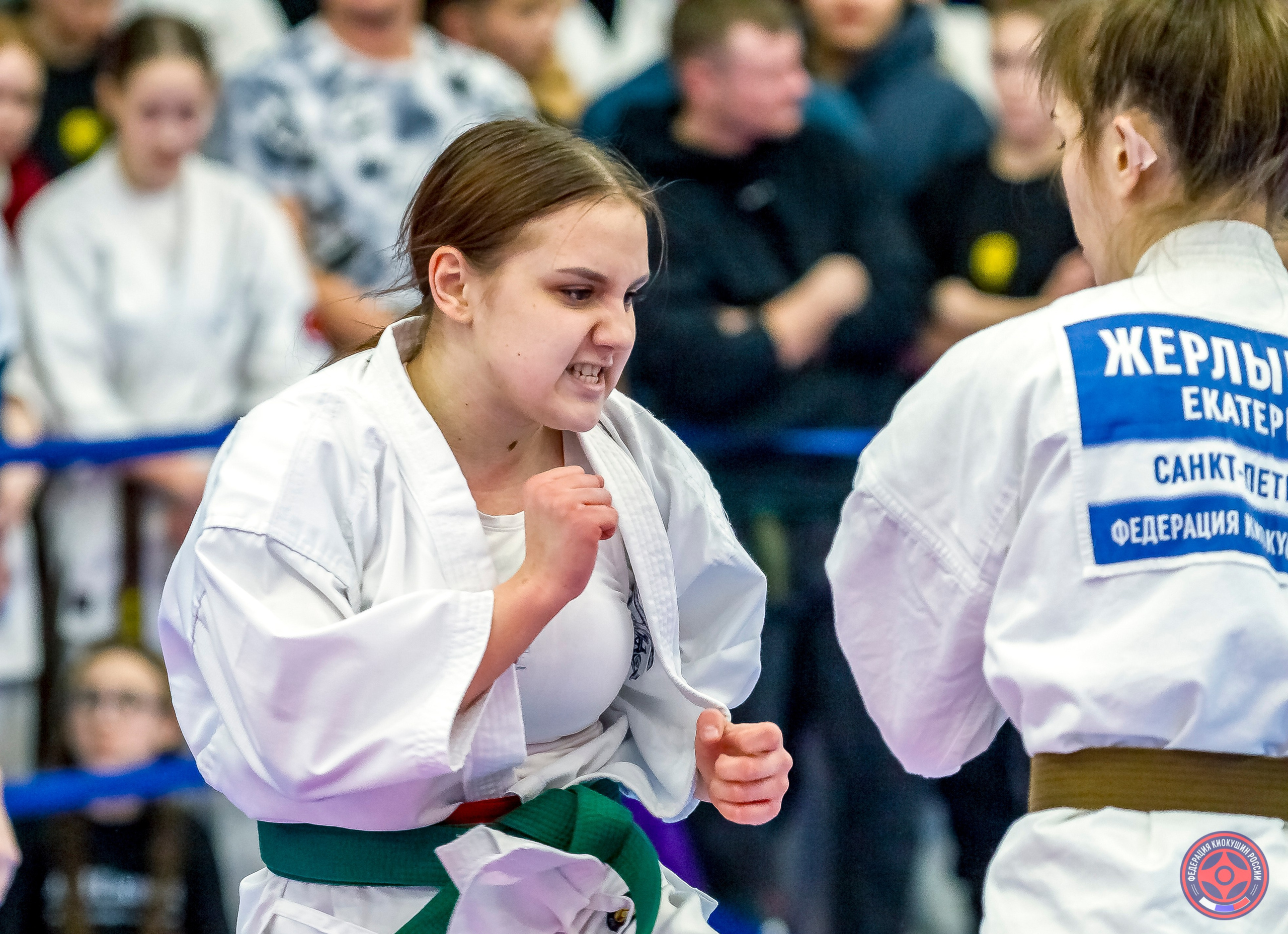 Международный турнир по киокушин «Открытый кубок Seiken». Репортажная съемка в Москве и области. Анималистика