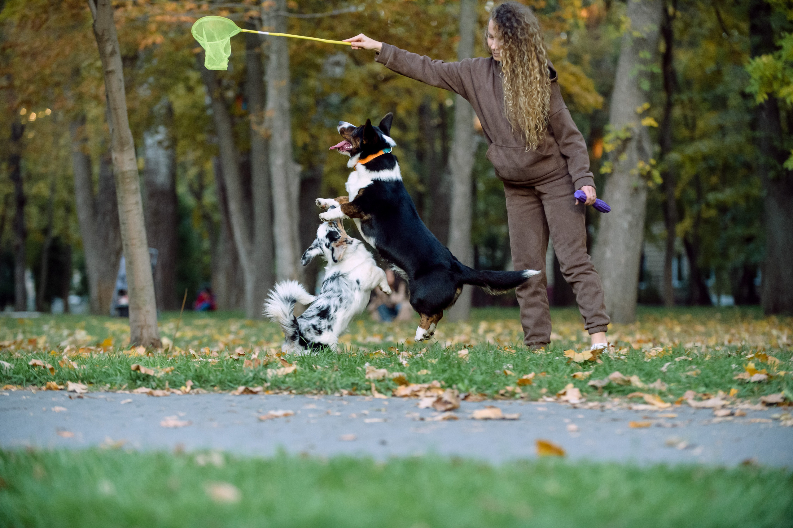 Оля и Ваня с собаками. Фотограф в Ростове-на-Дону Маркер Елена