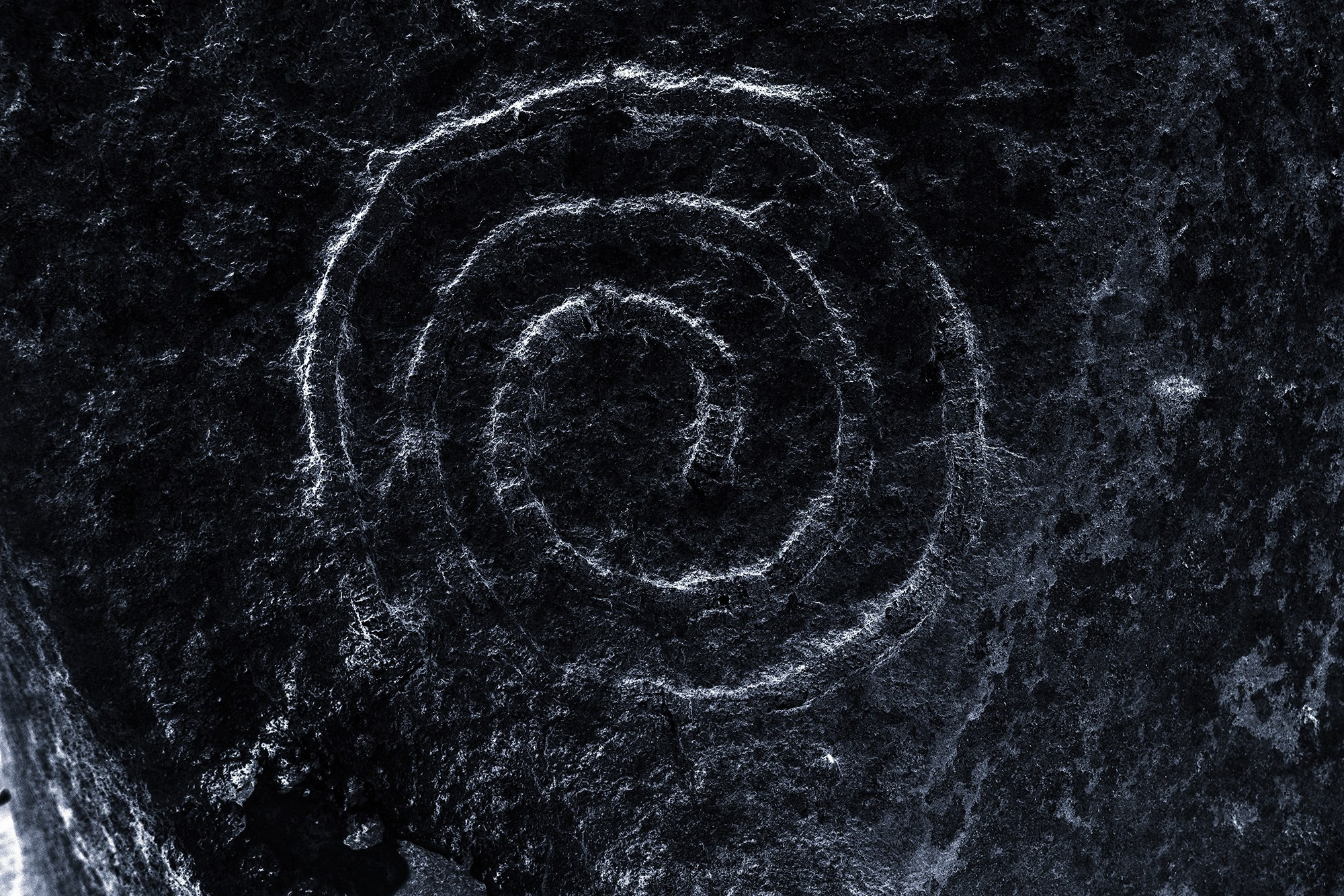 Проект «Стражи времени"/project «Gurdians of time». SHELESTOV